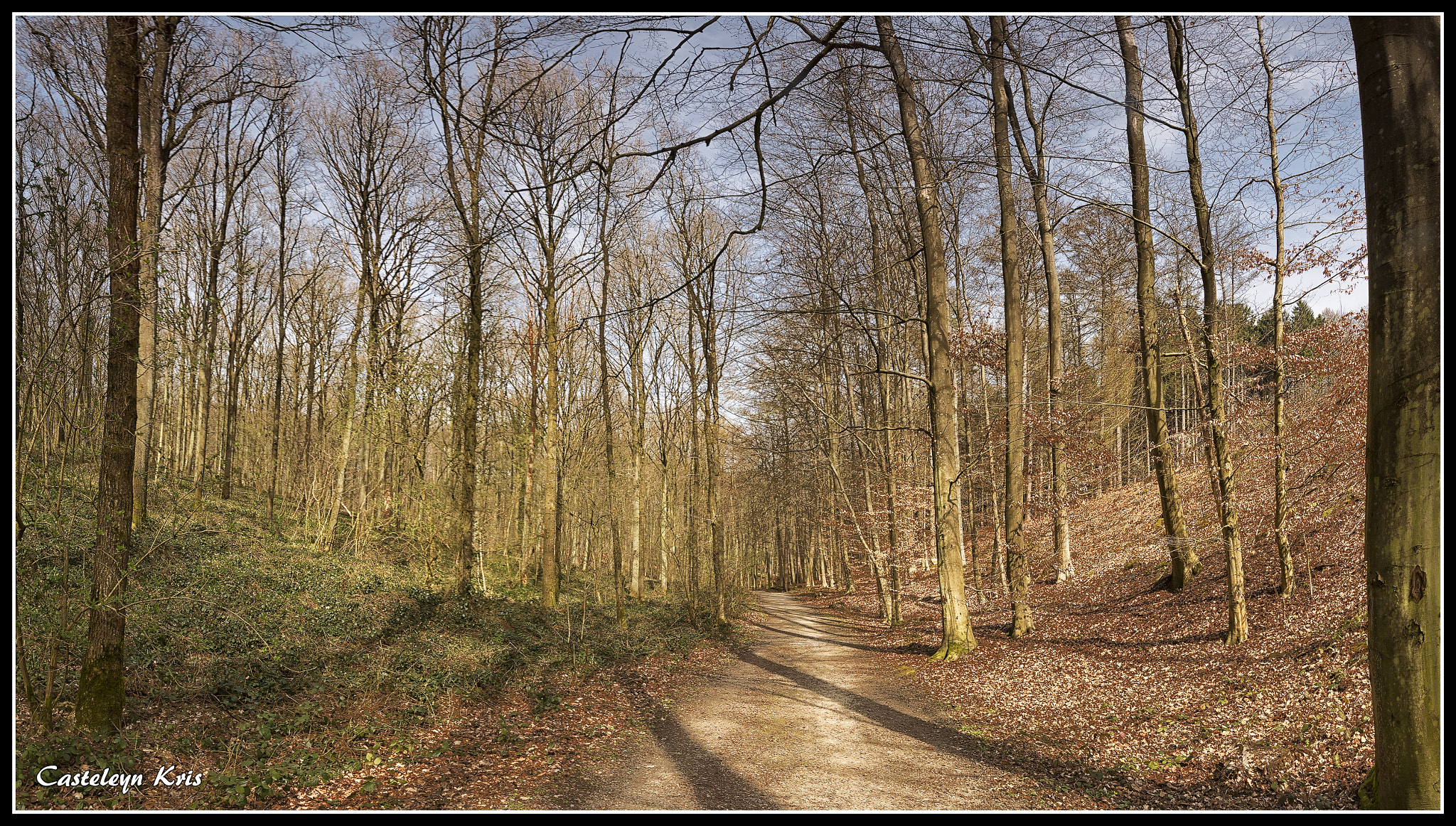 Sigma 10-20mm F3.5 EX DC HSM sample photo. Aphrodite pandemos photography