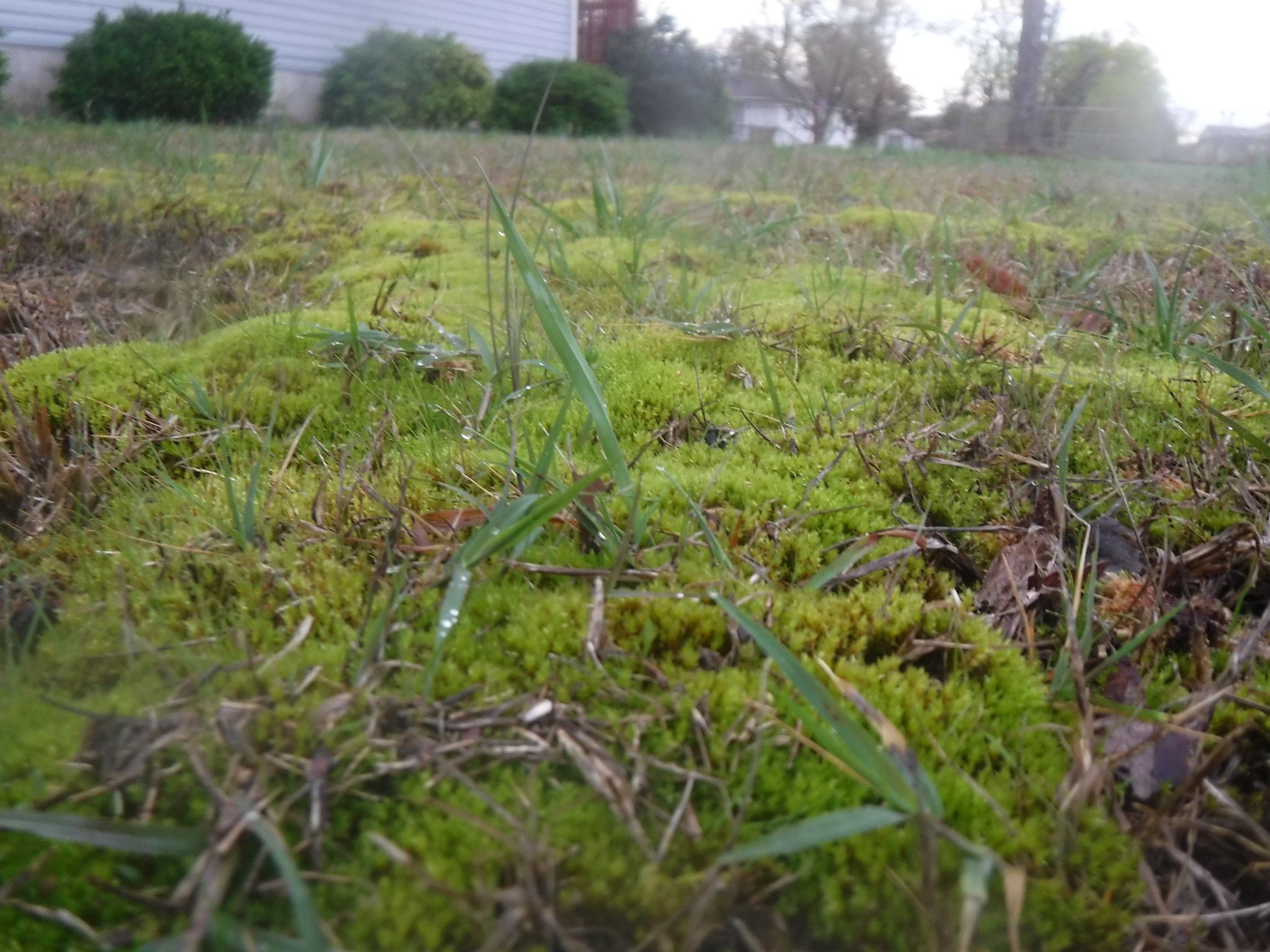 Fujifilm FinePix XP90 XP91 XP95 sample photo. [] photography
