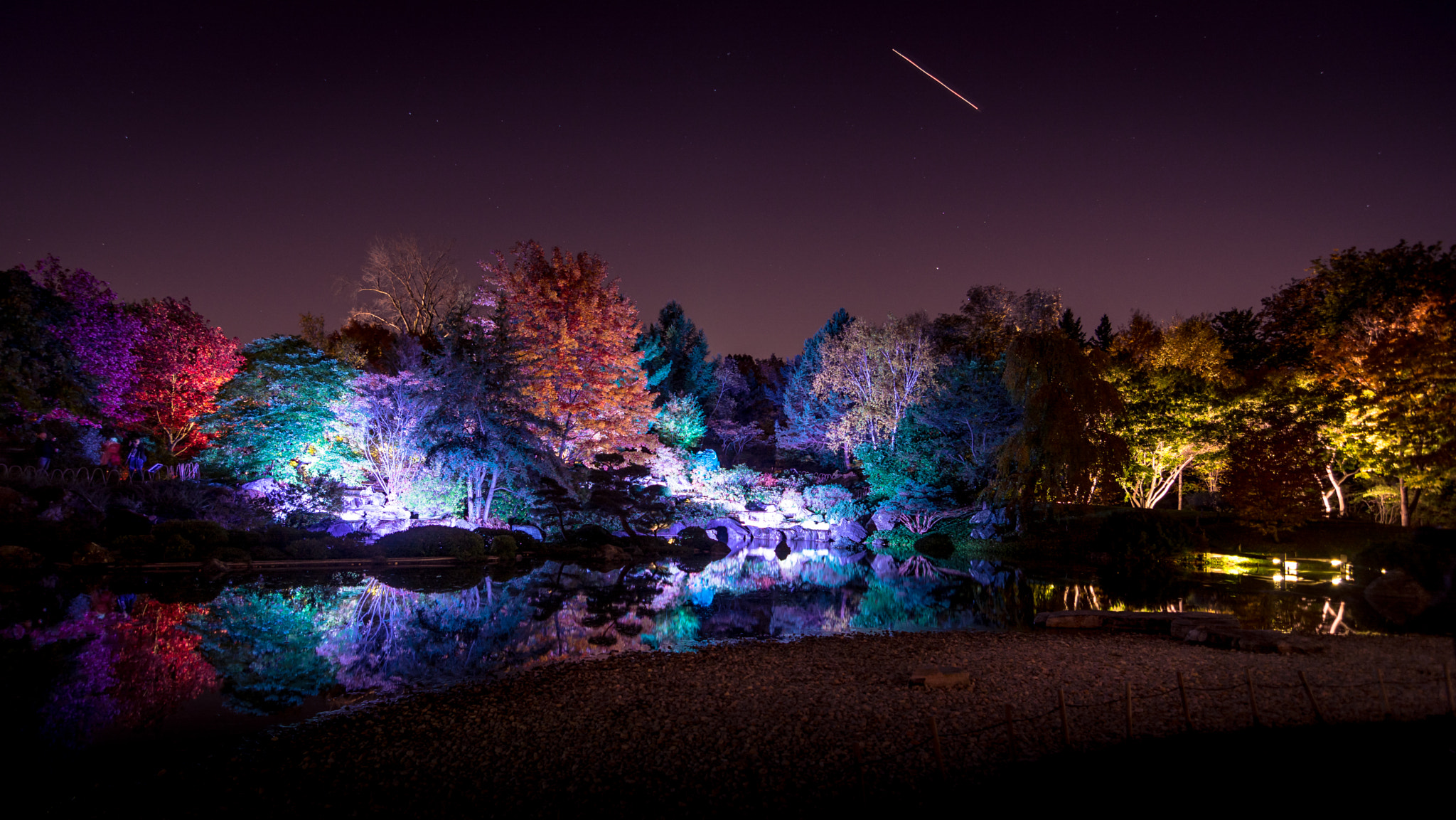 Tokina AT-X Pro 11-16mm F2.8 DX sample photo. Mystical gardens photography