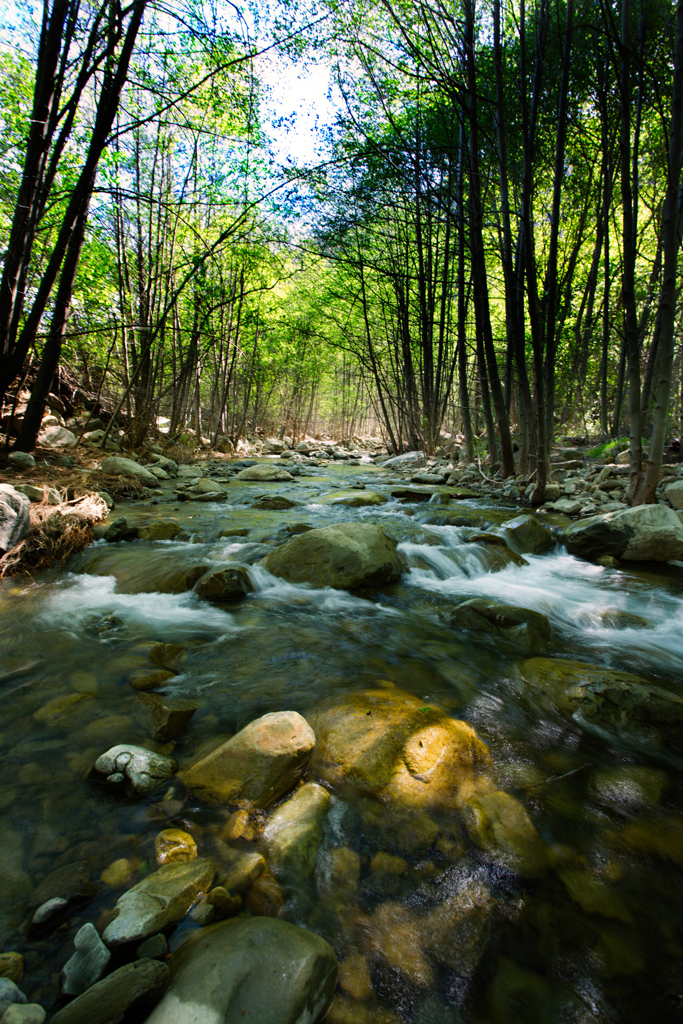 Canon EOS 5D + Canon EF 17-40mm F4L USM sample photo. Springtime stream photography