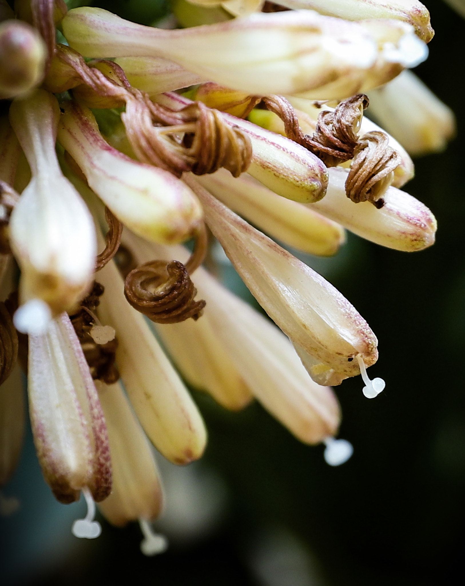 Canon EF-M 11-22mm F4-5.6 IS STM sample photo