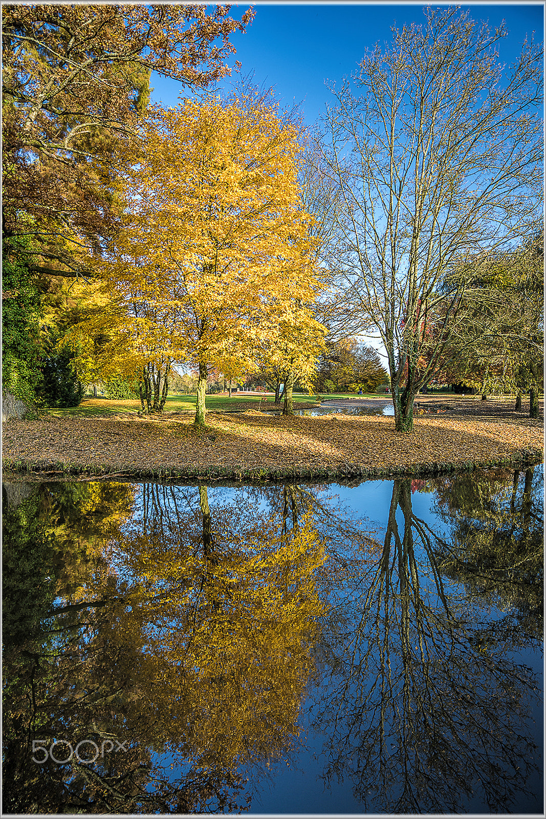 Sony a7R II + Sony Vario-Tessar T* FE 16-35mm F4 ZA OSS sample photo. Castle favorite garden photography