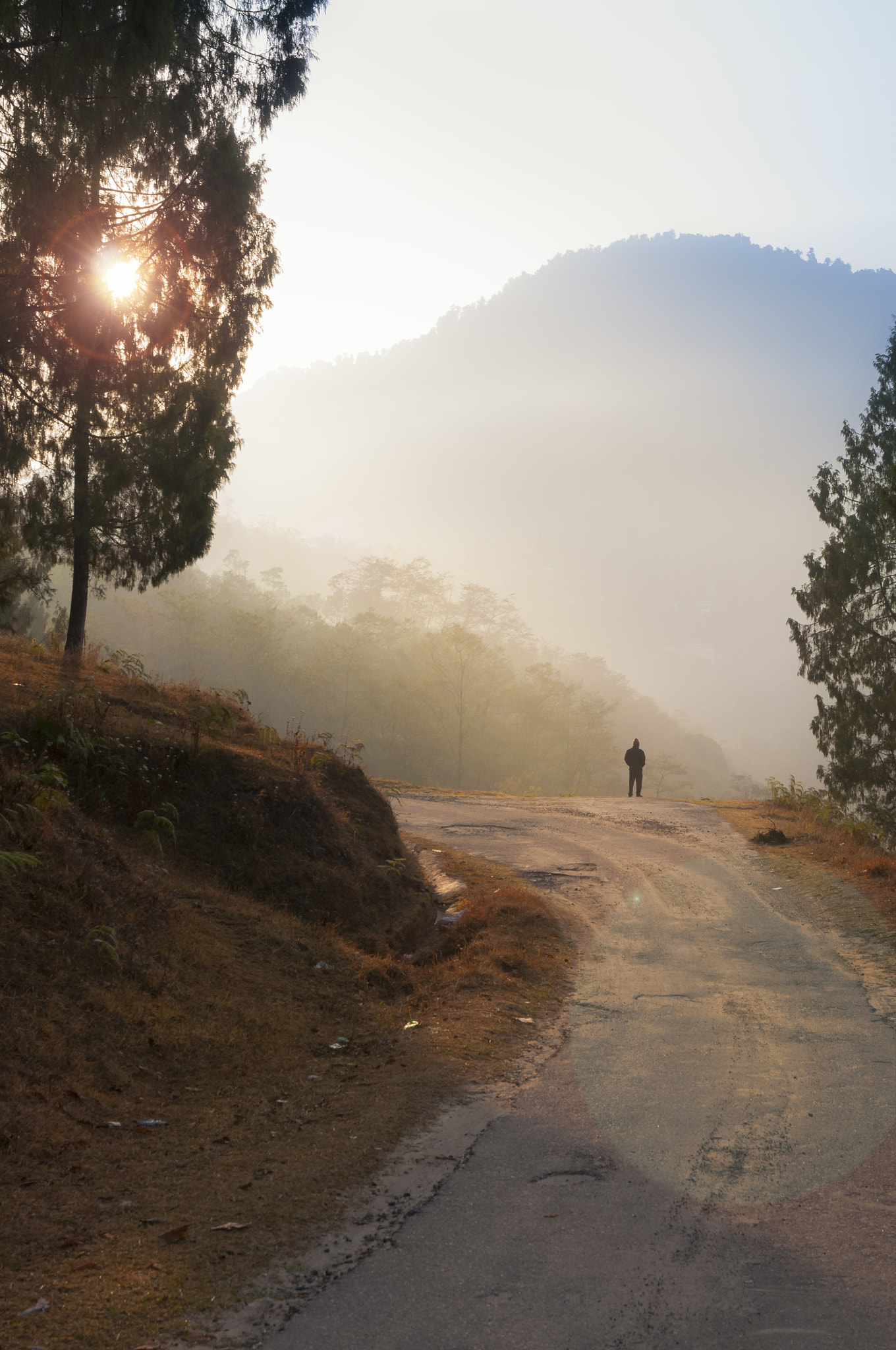 Nikon D90 sample photo. Morning stroll photography