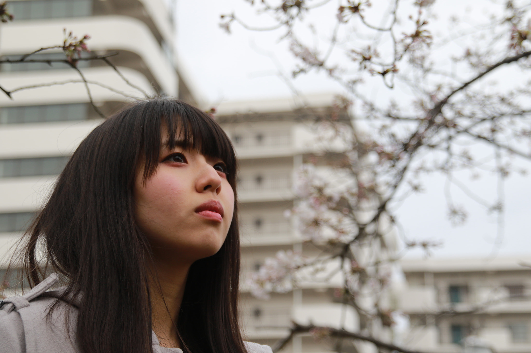 Sigma 18-200mm f/3.5-6.3 DC OS sample photo