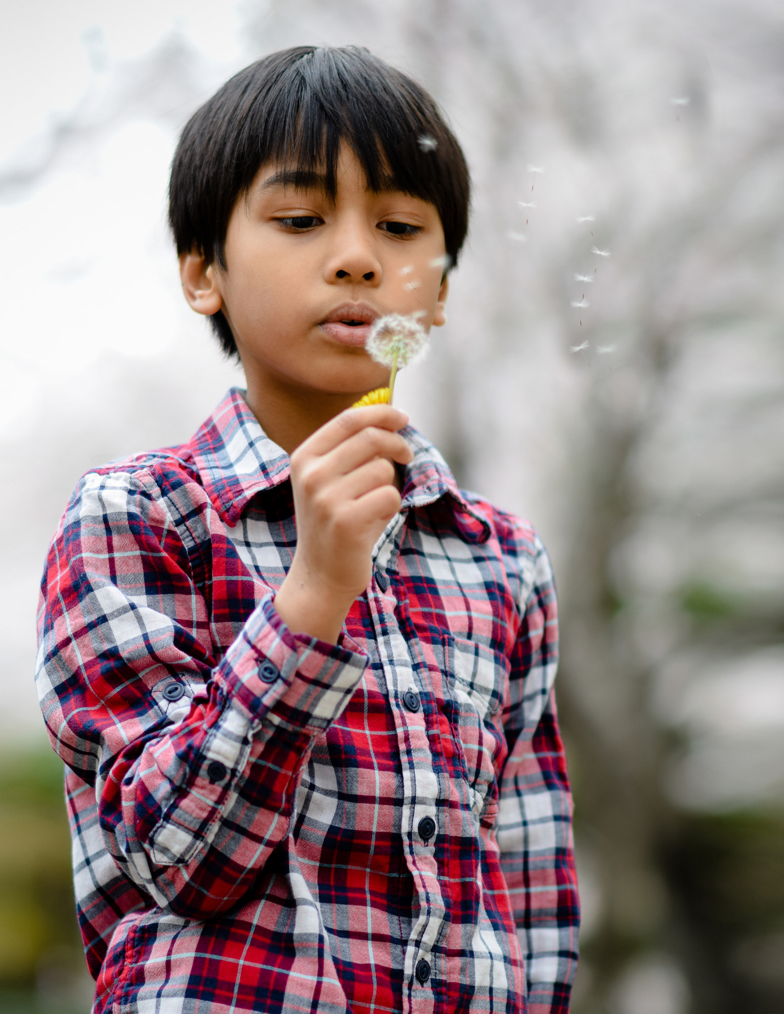 Nikon D5300 sample photo. Dandelion boy photography