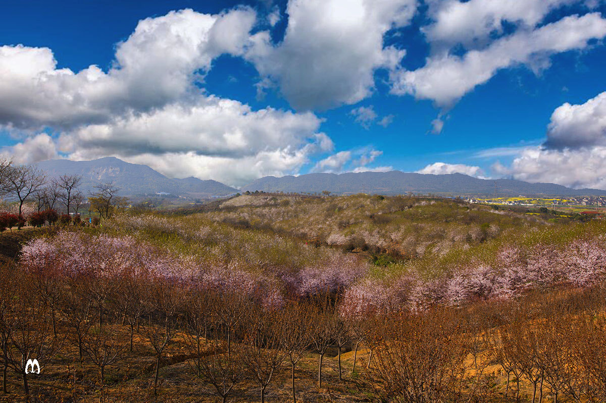 Nikon AF-S Nikkor 14-24mm F2.8G ED sample photo. A photography