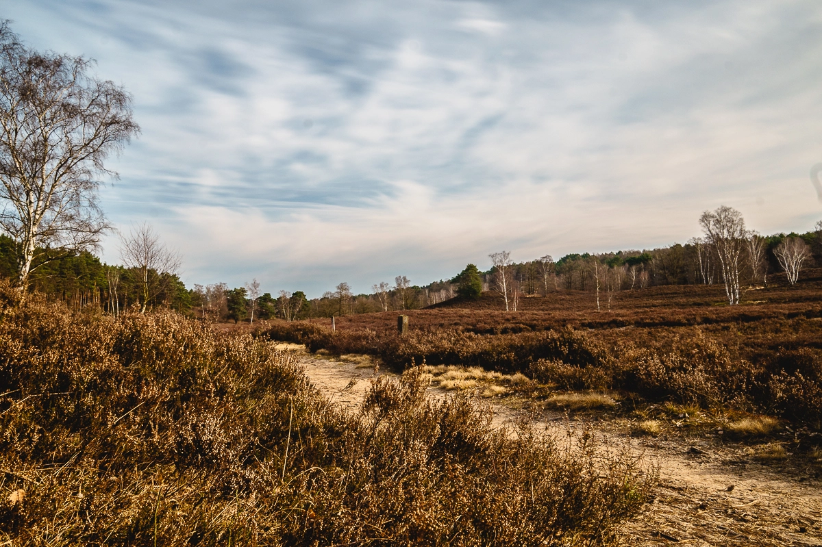 Sony Alpha a5000 (ILCE 5000) sample photo. Fischbekerheide photography