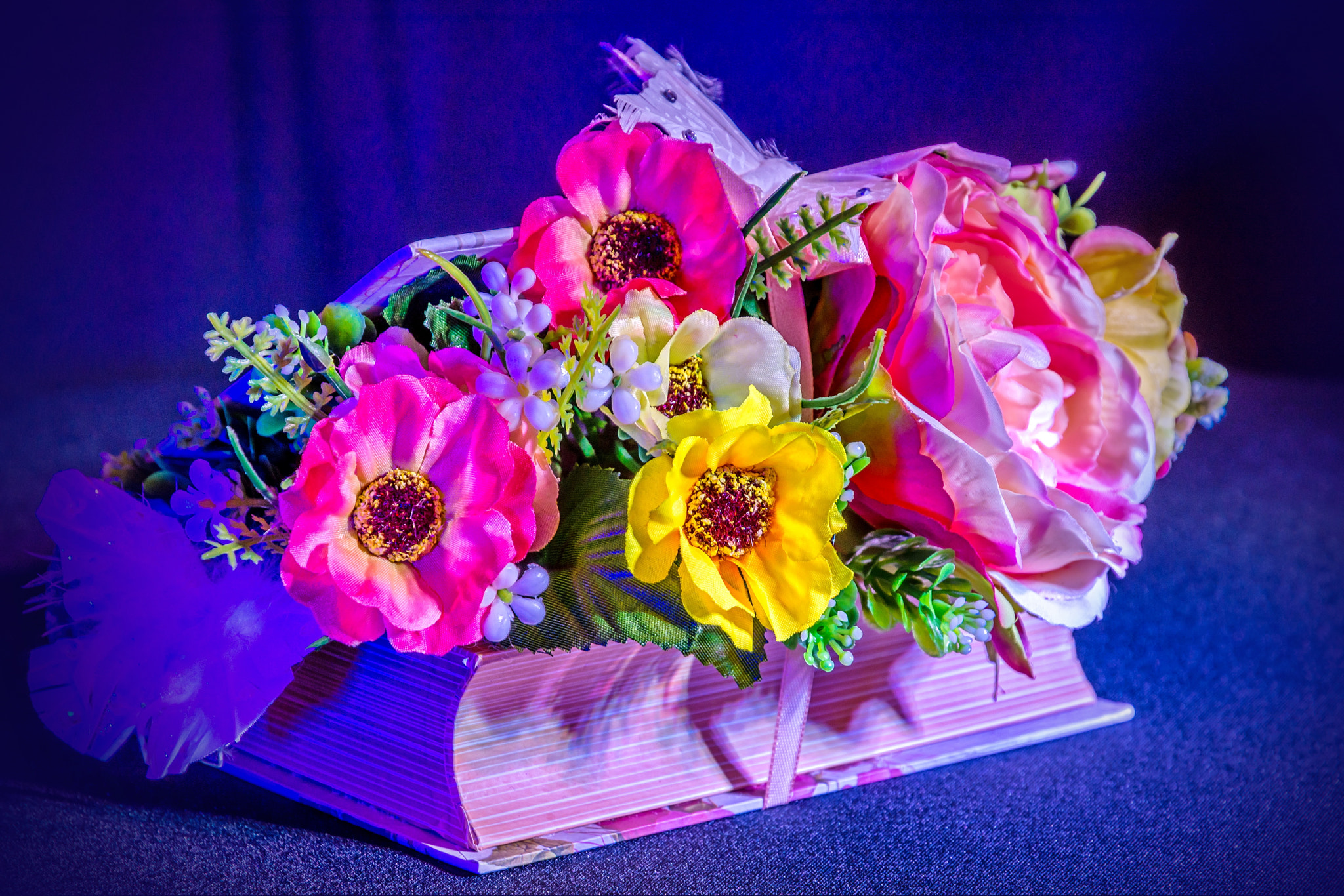 Nikon D7200 sample photo. A world full of color 1 photography