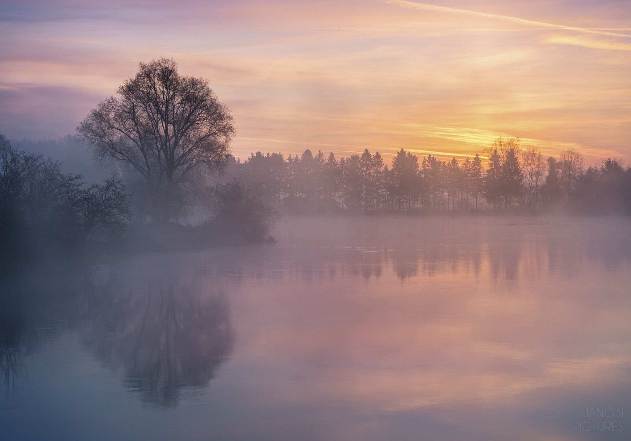 Olympus OM-D E-M5 II + Olympus M.Zuiko Digital ED 12-40mm F2.8 Pro sample photo. ~ in the morning mist ~ photography