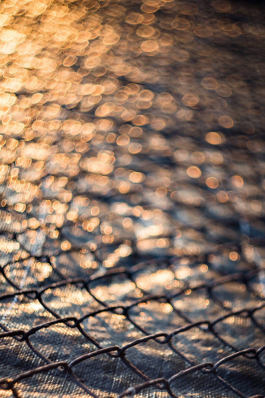 Canon EF 35-80mm f/4-5.6 sample photo. * photography
