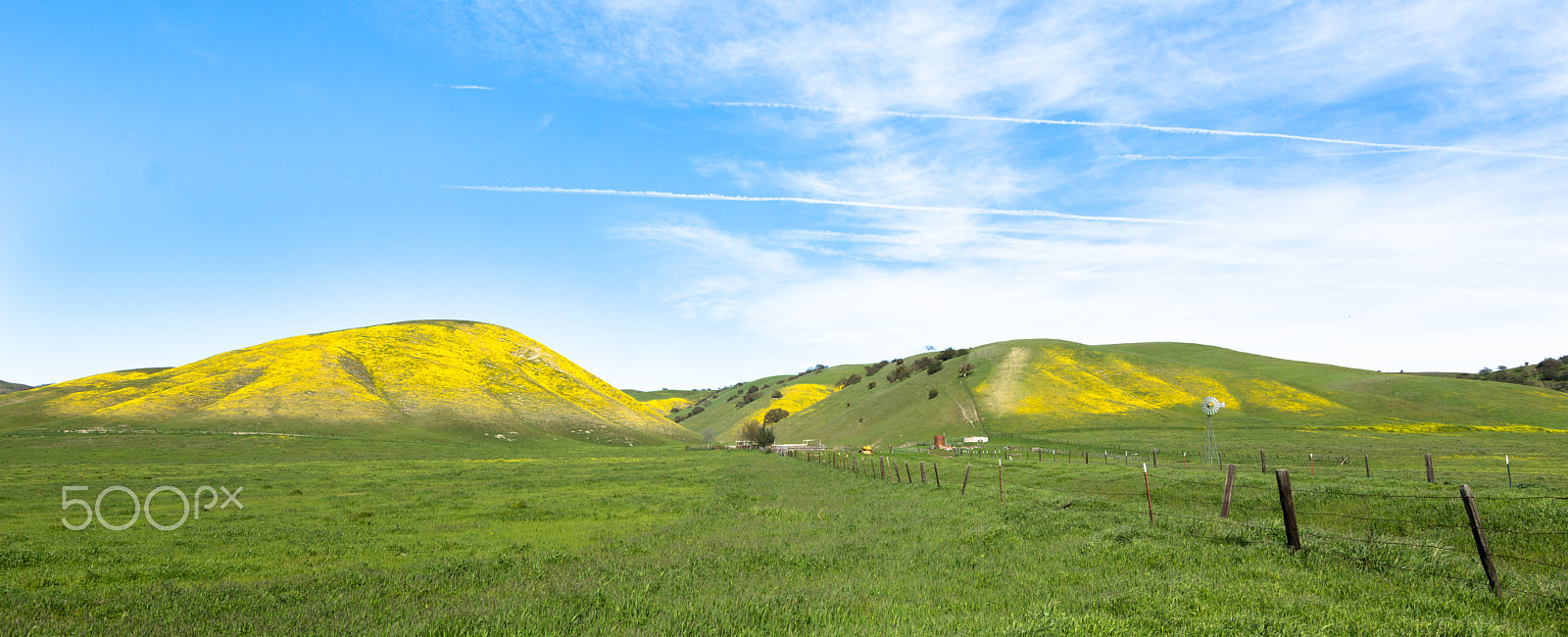 Nikon D7100 sample photo. Golden hills photography