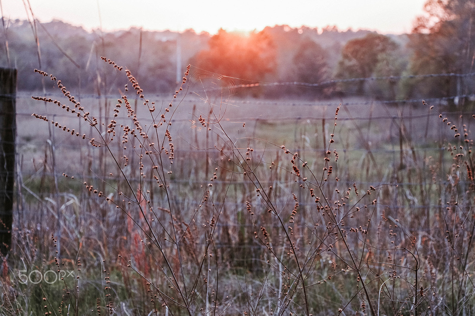 Canon EOS 700D (EOS Rebel T5i / EOS Kiss X7i) sample photo. Beautiful spaces photography