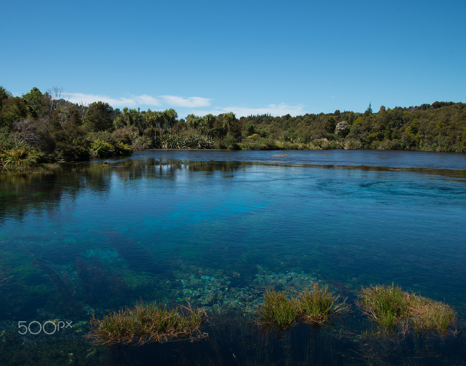 Nikon AF-S Nikkor 24-120mm F4G ED VR sample photo. Waikuropupu springs, takaka, new zealand photography