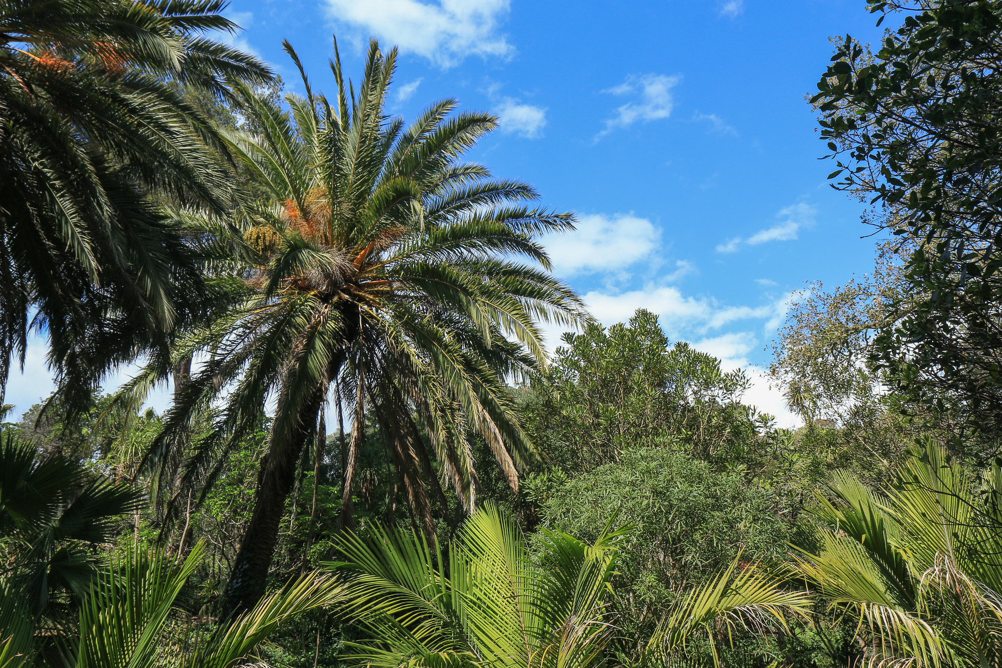 Canon EF-S 17-55mm F2.8 IS USM sample photo. Landscape of the south photography
