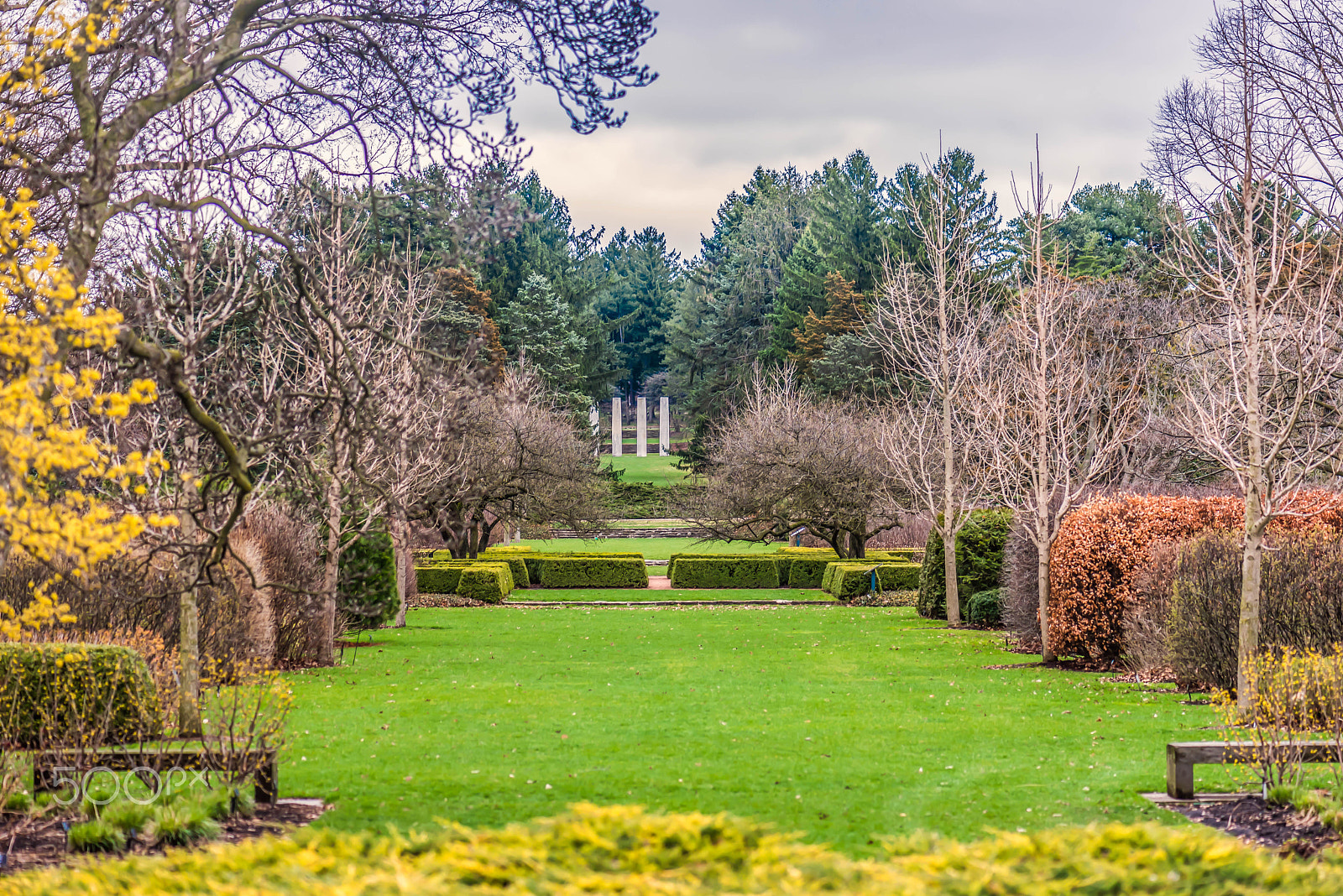 Nikon AF-S Micro-Nikkor 105mm F2.8G IF-ED VR sample photo. Arboretum in spring photography