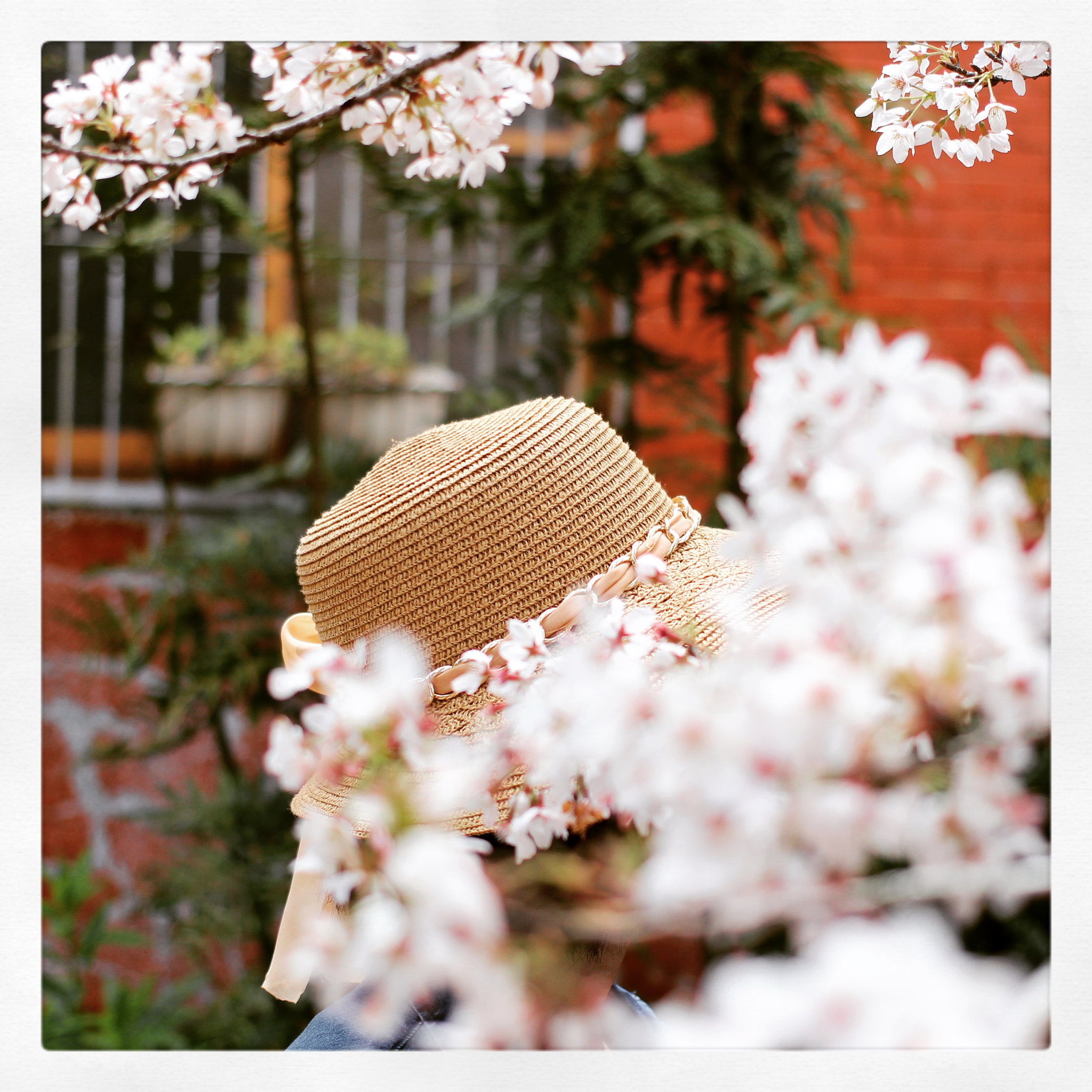 Canon EOS 700D (EOS Rebel T5i / EOS Kiss X7i) sample photo. Under the straw hat photography