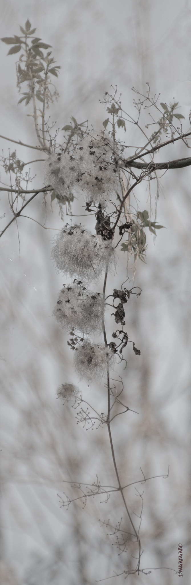 Nikon D7200 sample photo. Naturimpression... photography