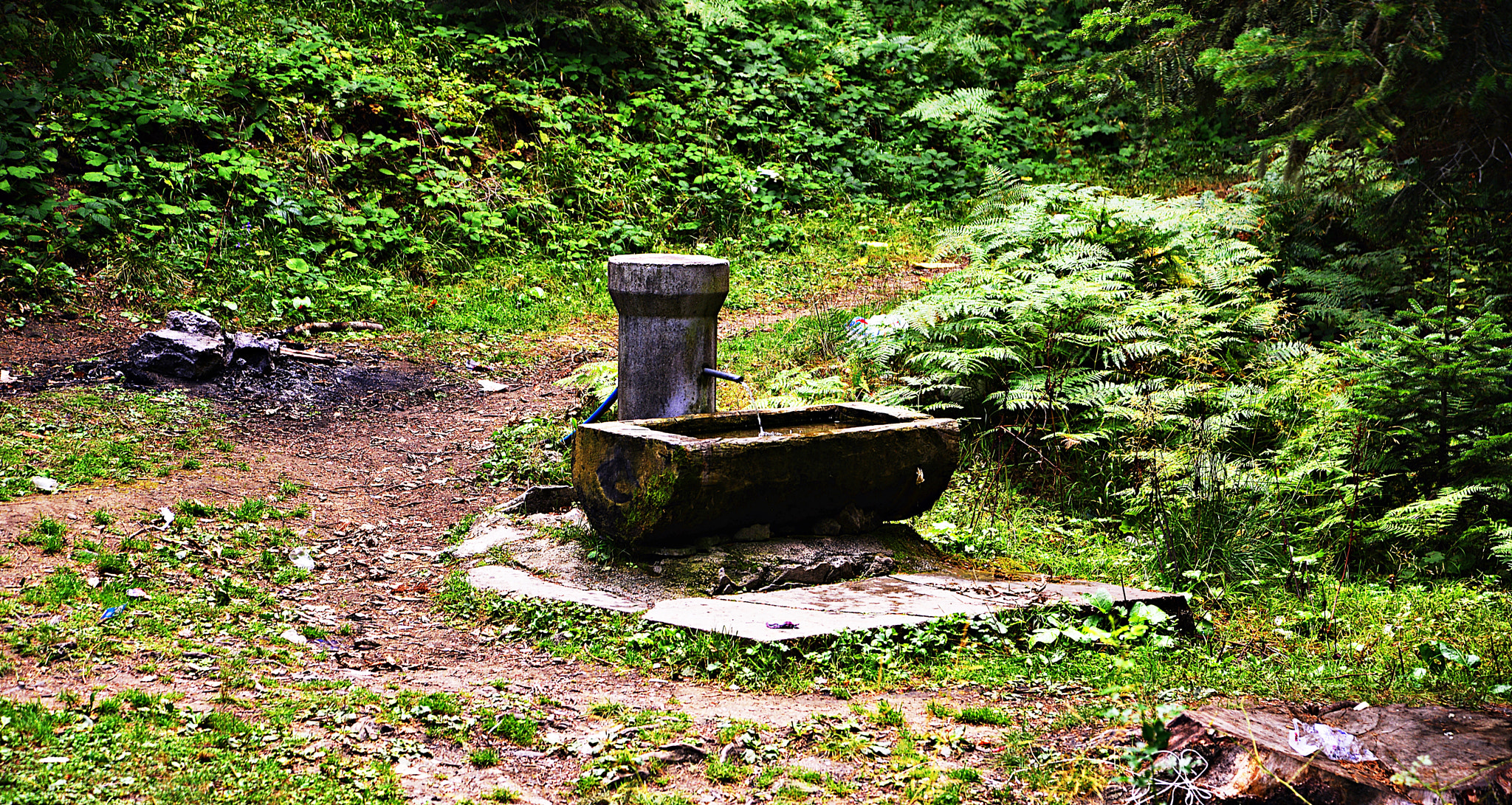 Nikon D800 sample photo. Mengen-bolu photography