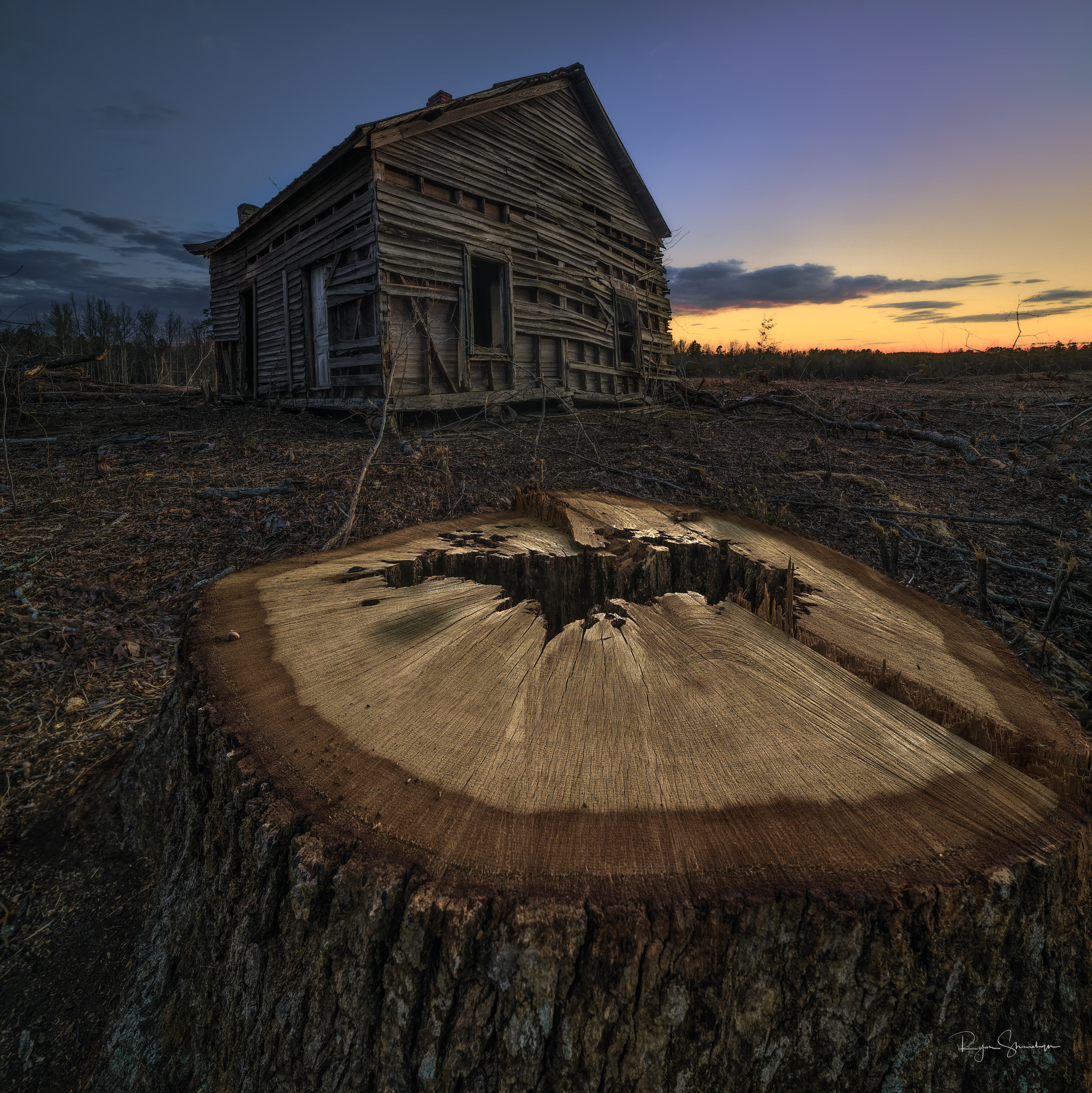 Canon EOS 5DS R sample photo. Stumped photography