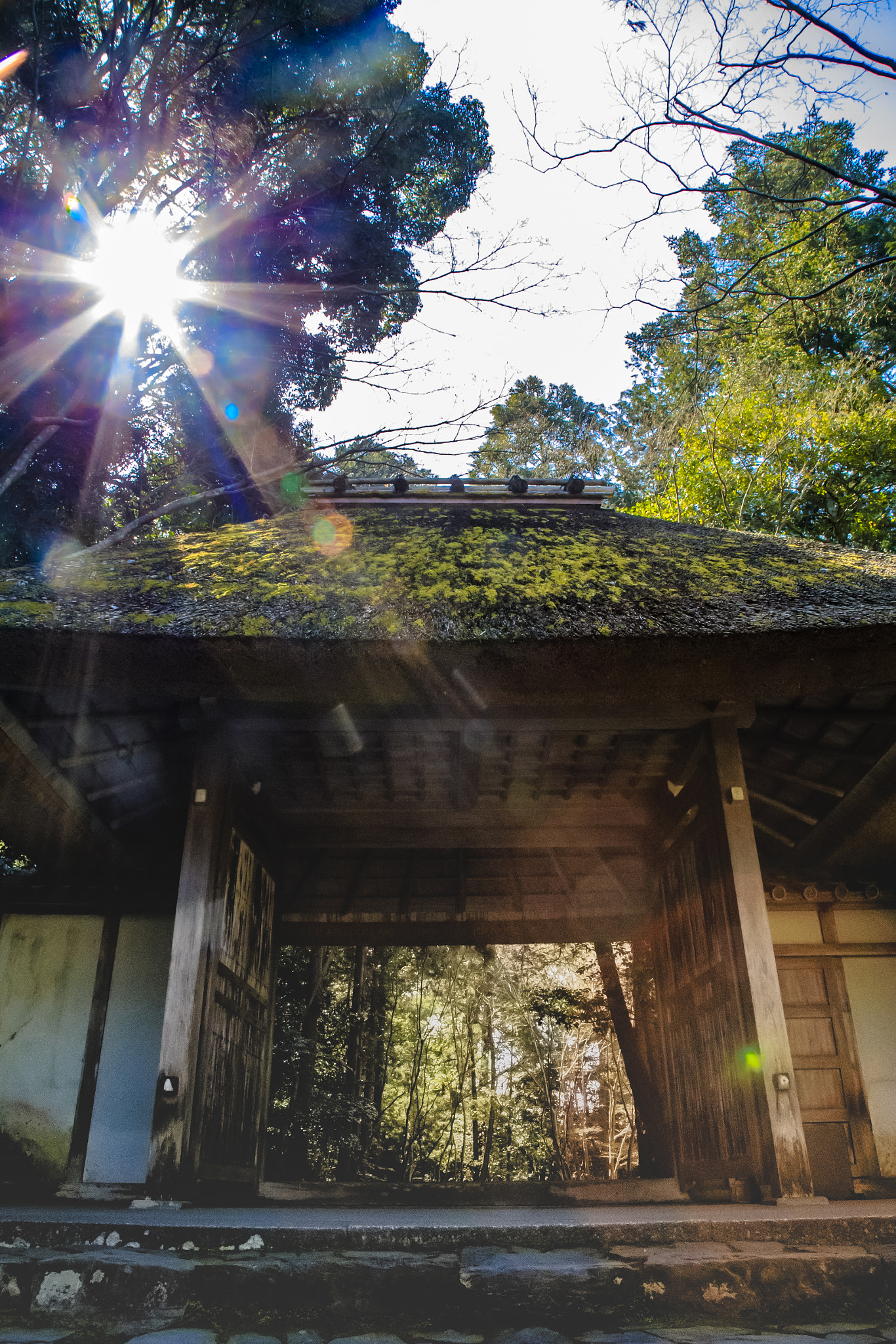 Canon EOS-1D X sample photo. 法然院 photography