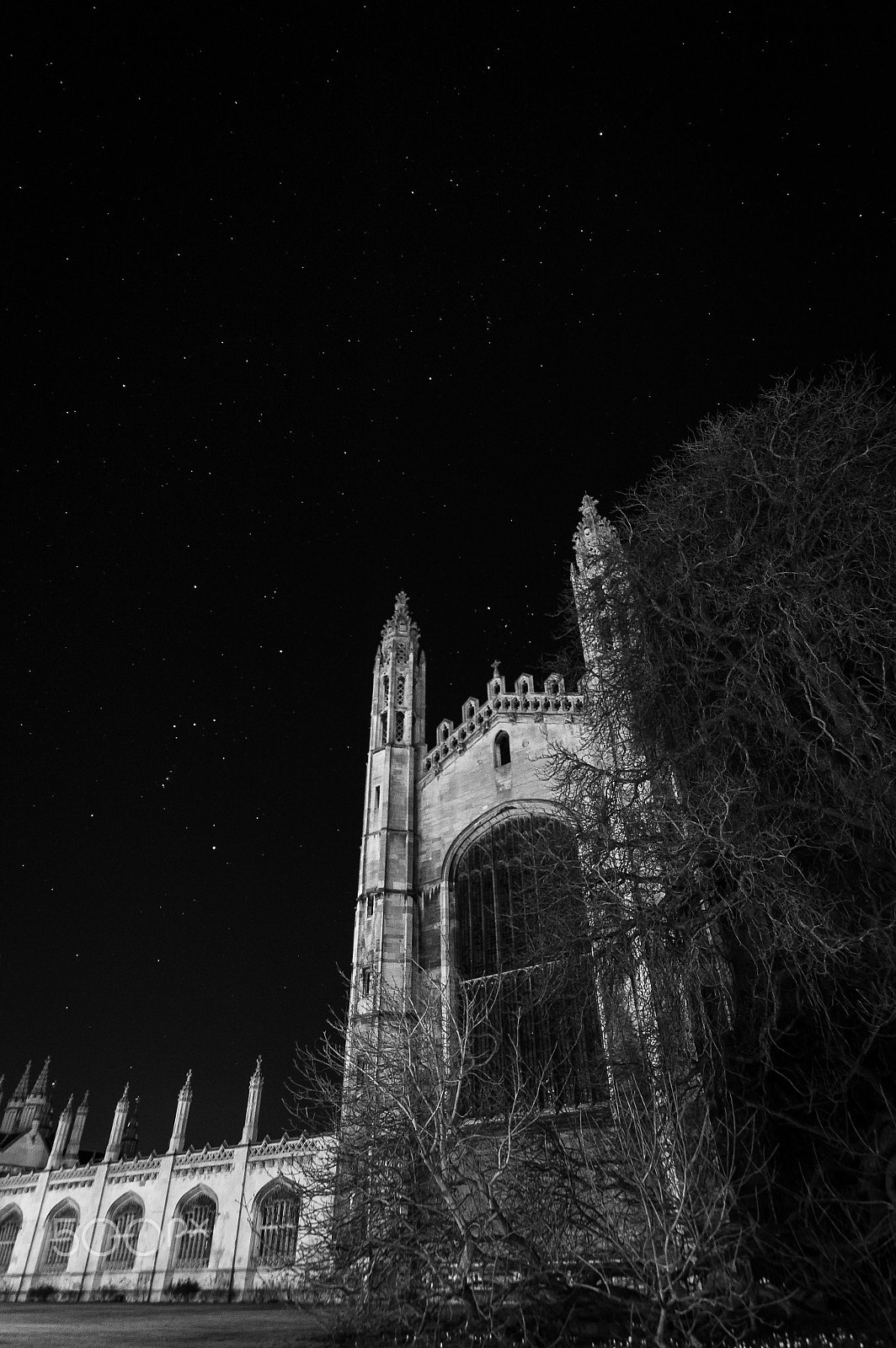 Sigma 10-20mm F3.5 EX DC HSM sample photo. A night of kings photography