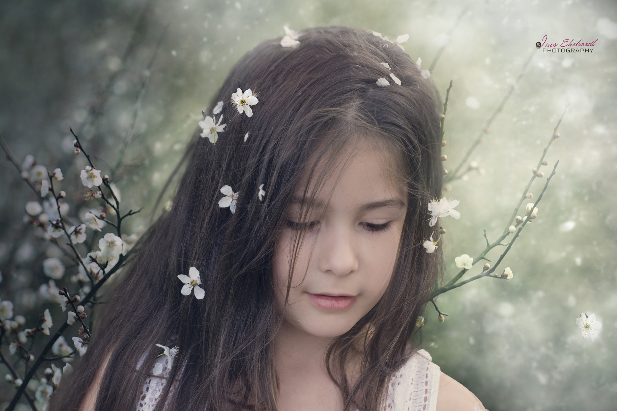 Nikon D7100 + Nikon AF-S Nikkor 50mm F1.8G sample photo. Blossomrain photography
