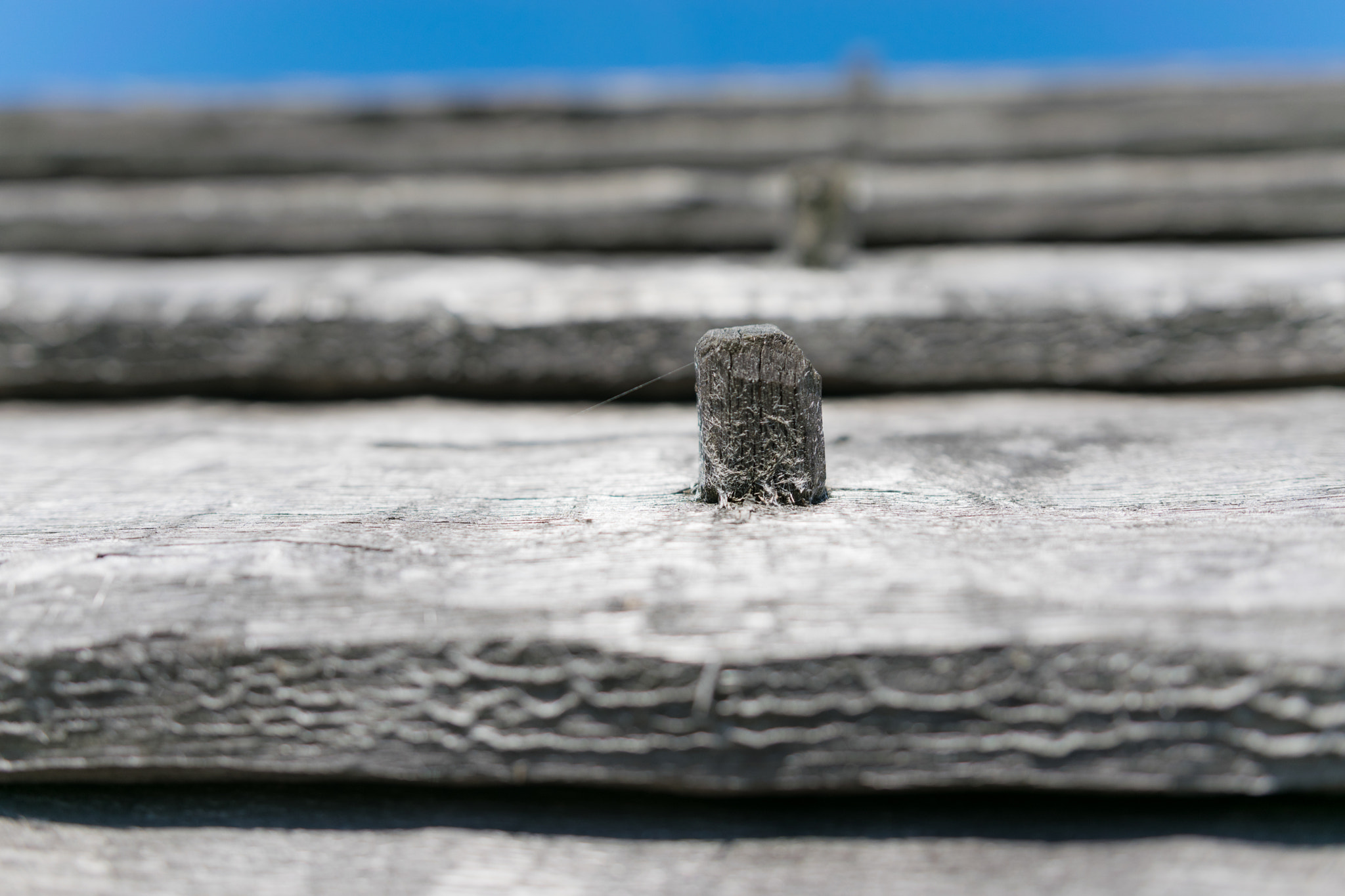 Nikon D5300 sample photo. Medieval roof construction photography