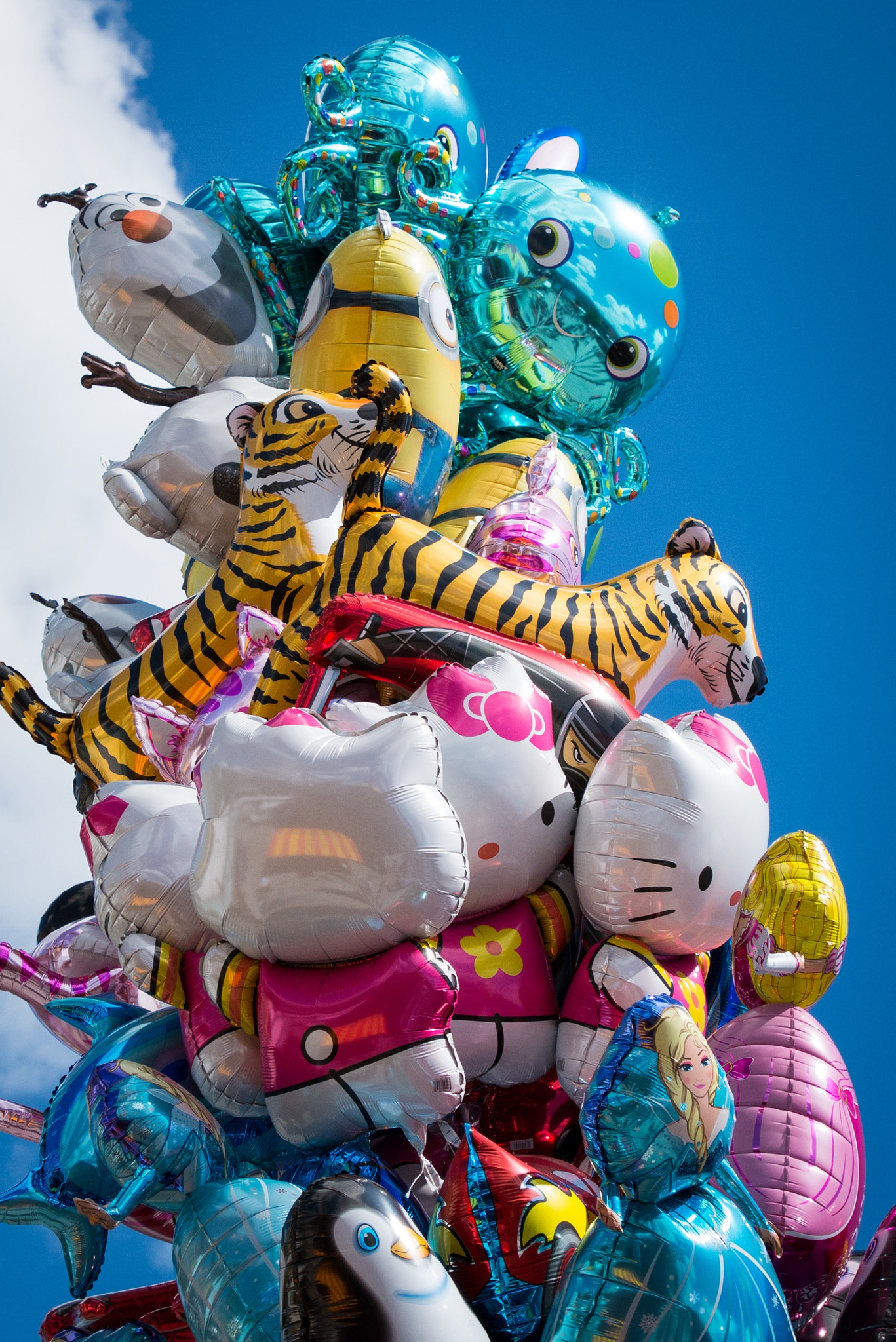 Nikon D7100 sample photo. Fun balloons photography