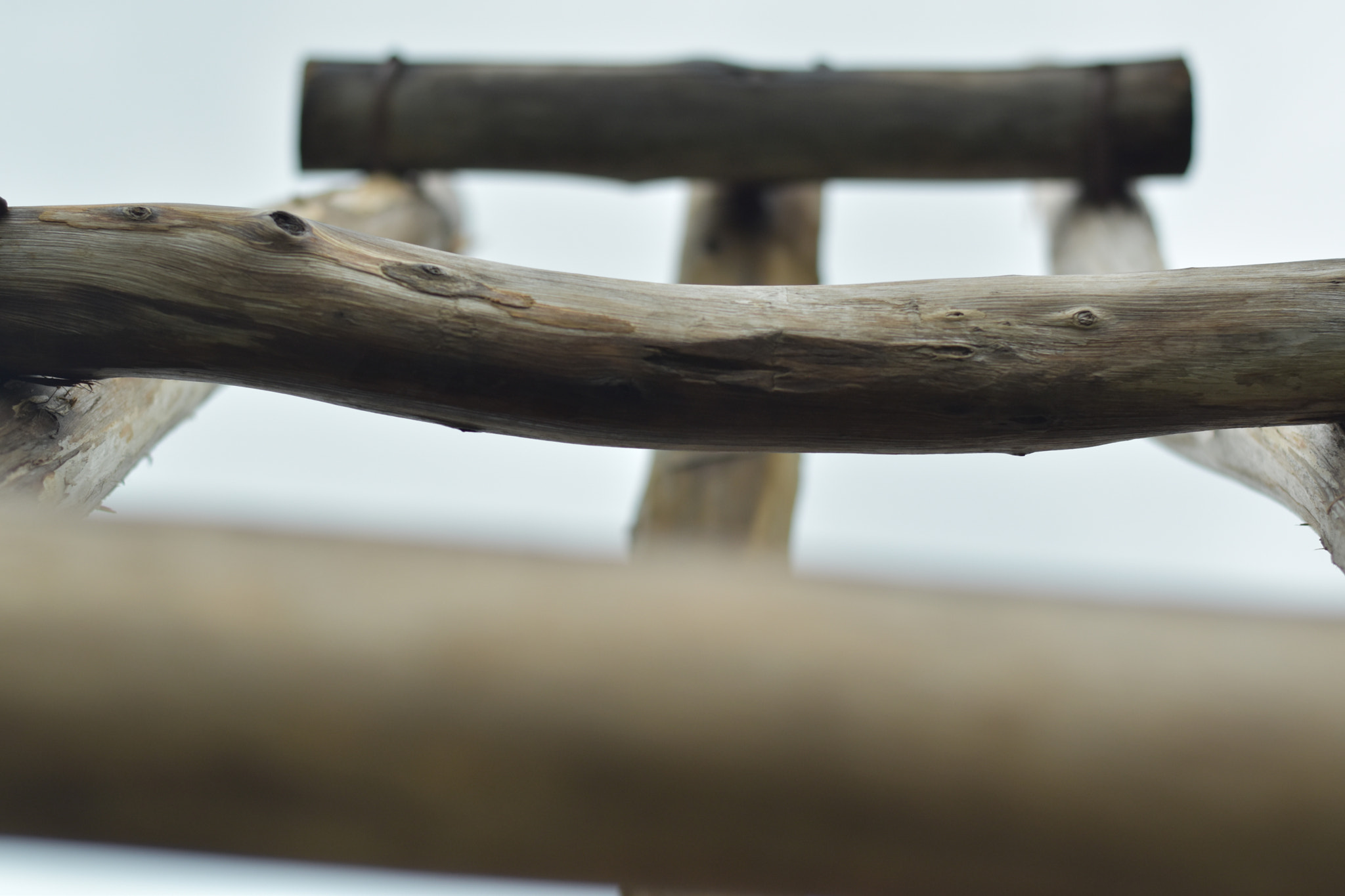 Nikon D5500 + Nikon AF-S Nikkor 50mm F1.8G sample photo. Ladder to the sky photography
