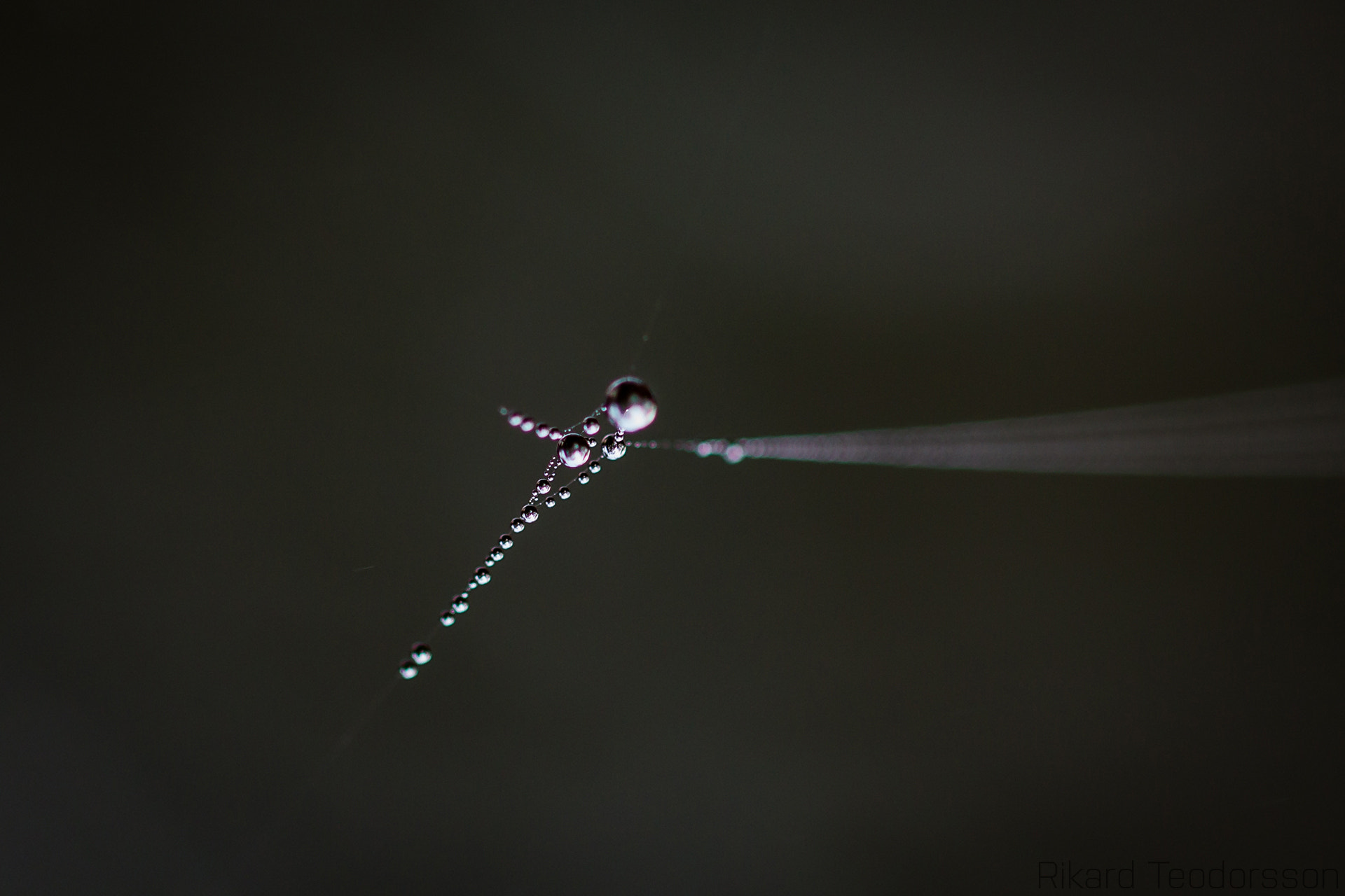 Canon EF 100mm F2.8L Macro IS USM sample photo. Water drops photography