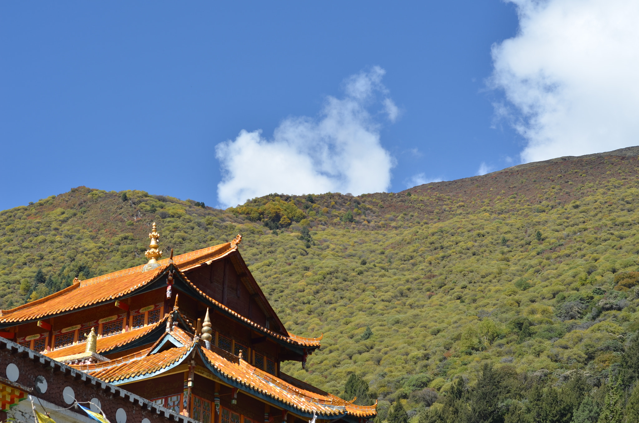 Nikon D7000 + Nikon AF Nikkor 50mm F1.8D sample photo. A corner of a monastery photography
