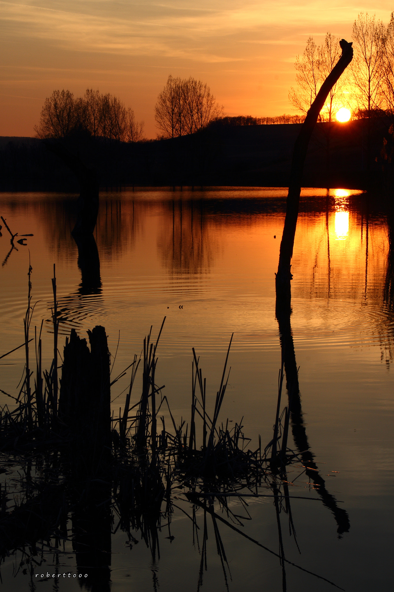 Canon EOS 700D (EOS Rebel T5i / EOS Kiss X7i) sample photo. Nagykeresztúri naple :-)    (sunset) photography