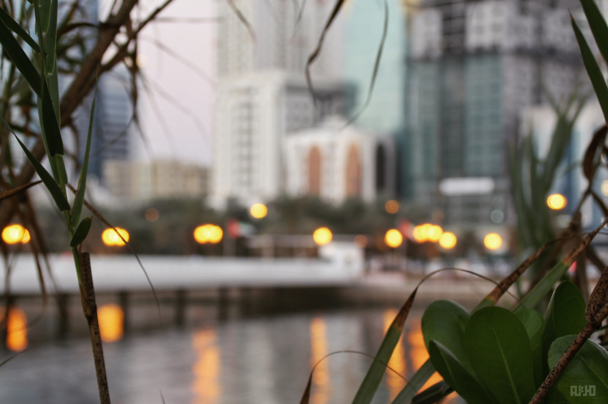 Canon EF 75-300mm F4.0-5.6 IS USM sample photo. Light bokeh photography
