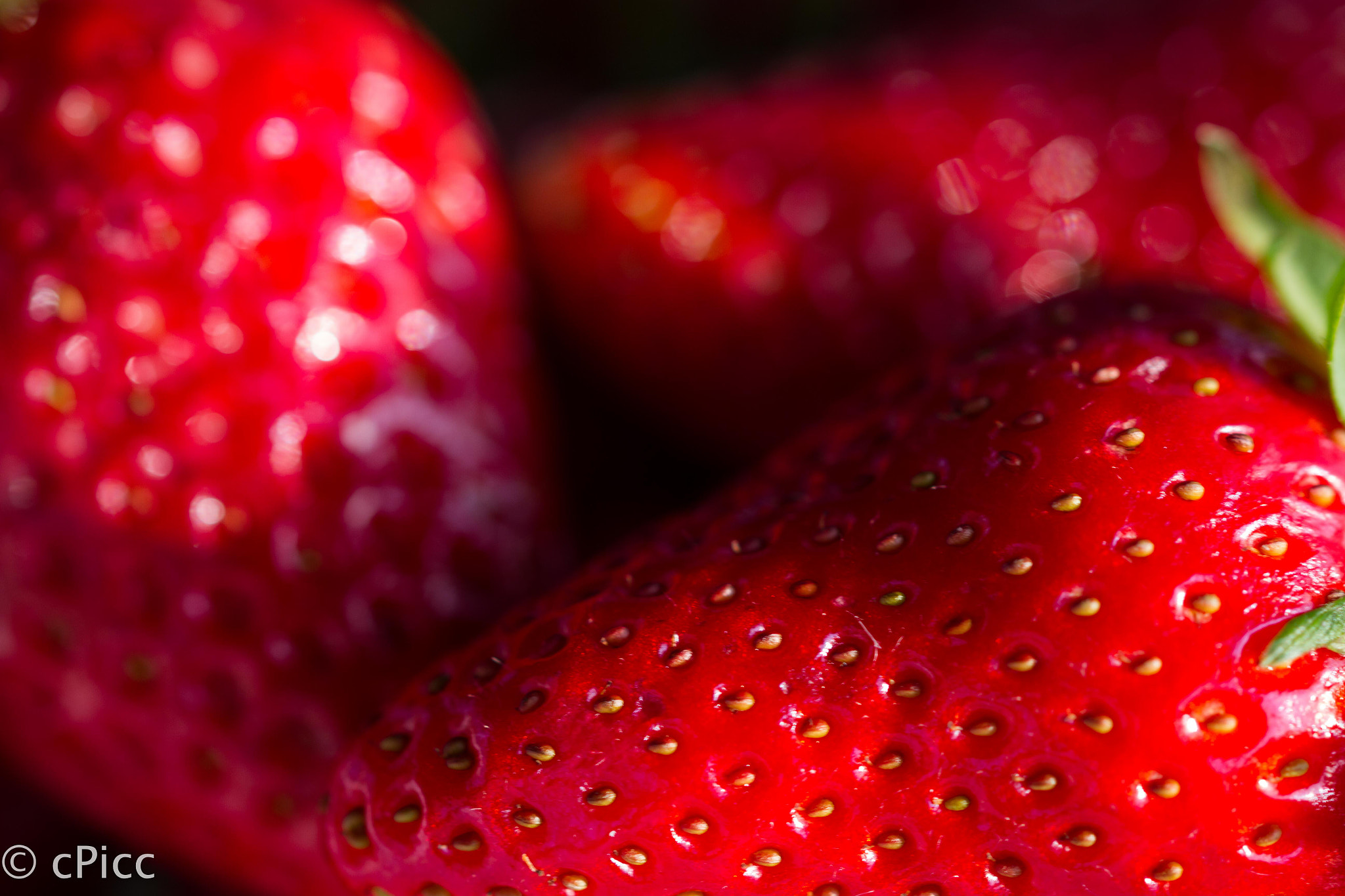 Sigma 105mm F2.8 EX DG OS HSM sample photo. Red passion photography