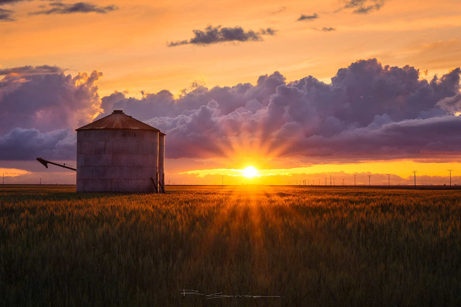 Sigma 18-35mm F1.8 DC HSM Art sample photo. Sunset in the fields. photography