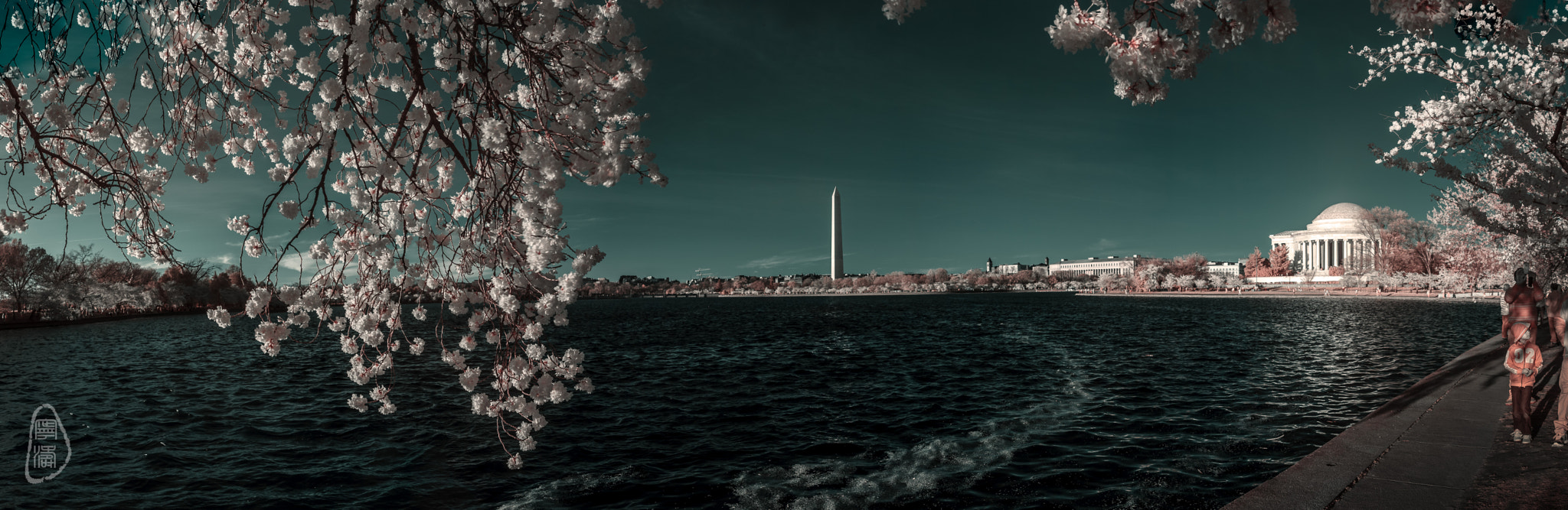 Canon EF 28-105mm f/3.5-4.5 USM sample photo. Tidal basin photography