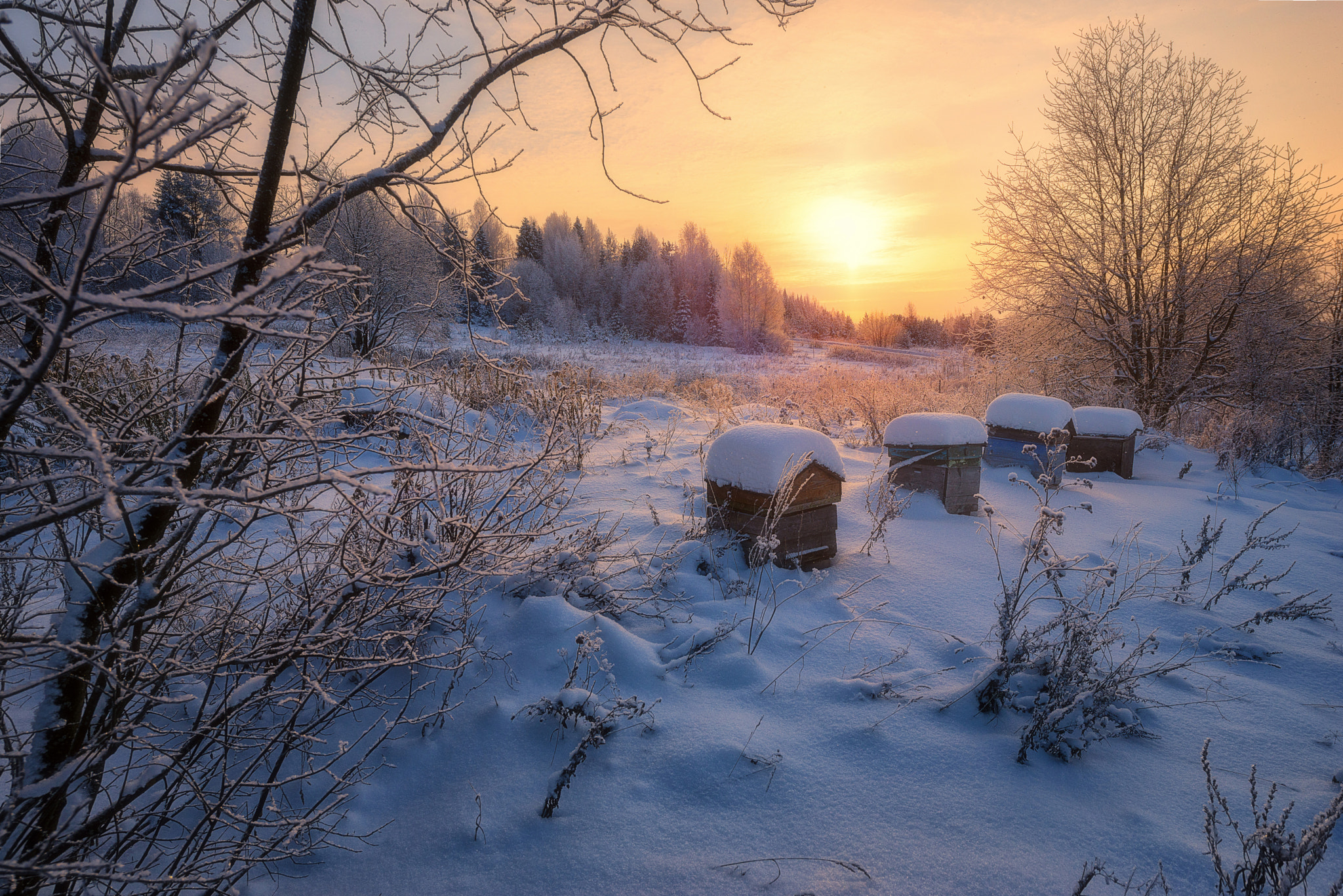 Nikon AF-S Nikkor 14-24mm F2.8G ED sample photo. 606. winter in the village i photography