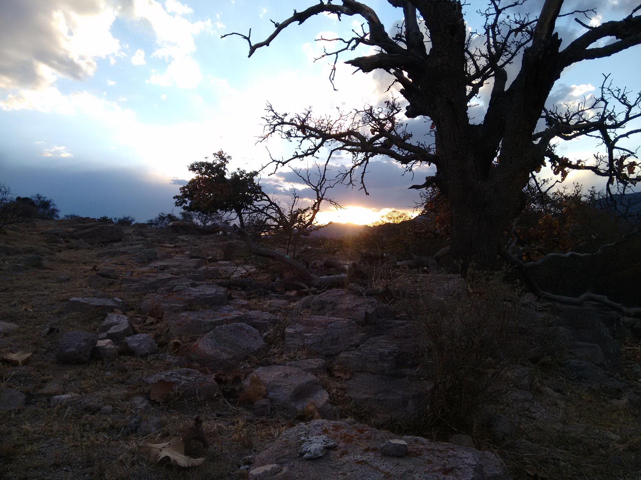 Motorola XT1063 sample photo. Get lost & look at yourself  photography