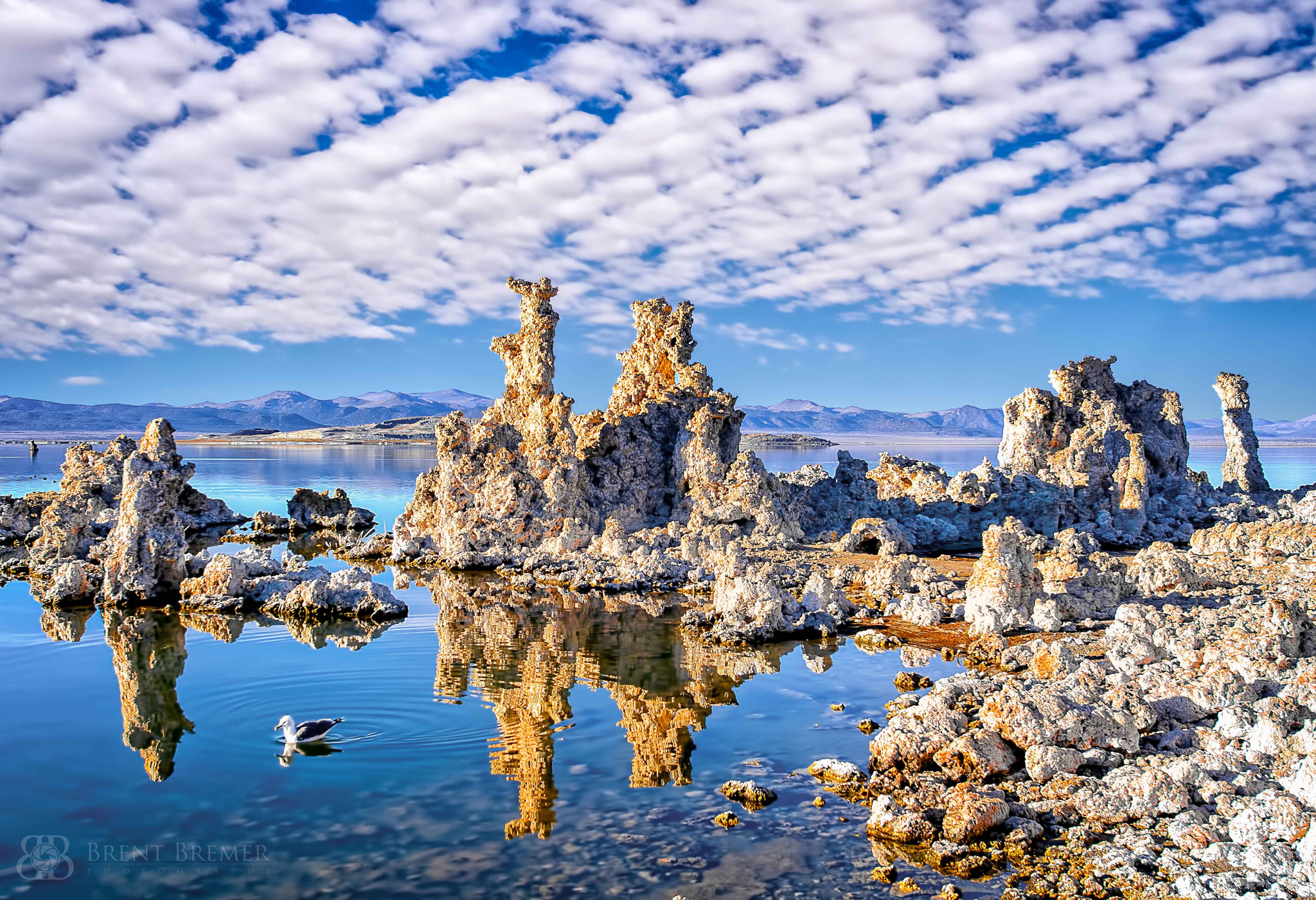 Nikon AF-S Nikkor 14-24mm F2.8G ED sample photo. Mono lake tufa photography