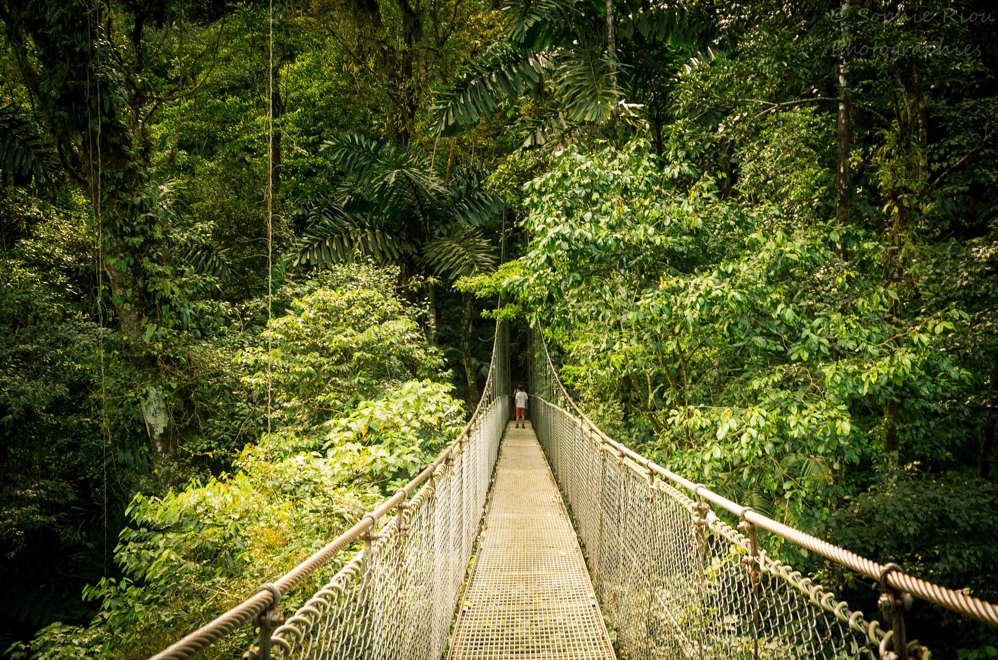 Pentax K-30 sample photo. Arenal bridges photography