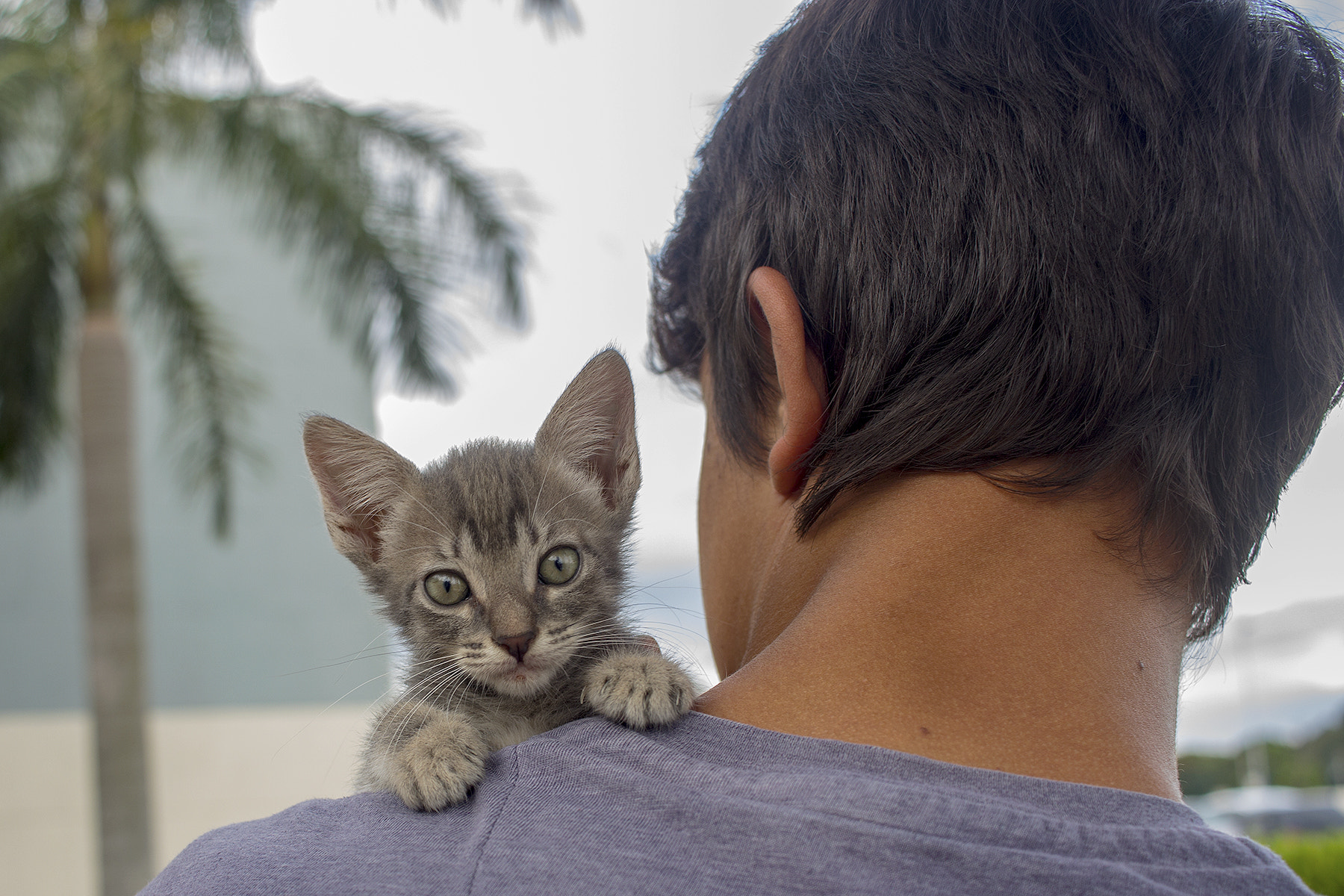 Canon EF-S 24mm F2.8 STM sample photo. Photo: 091 year: 01 - adoptions photography