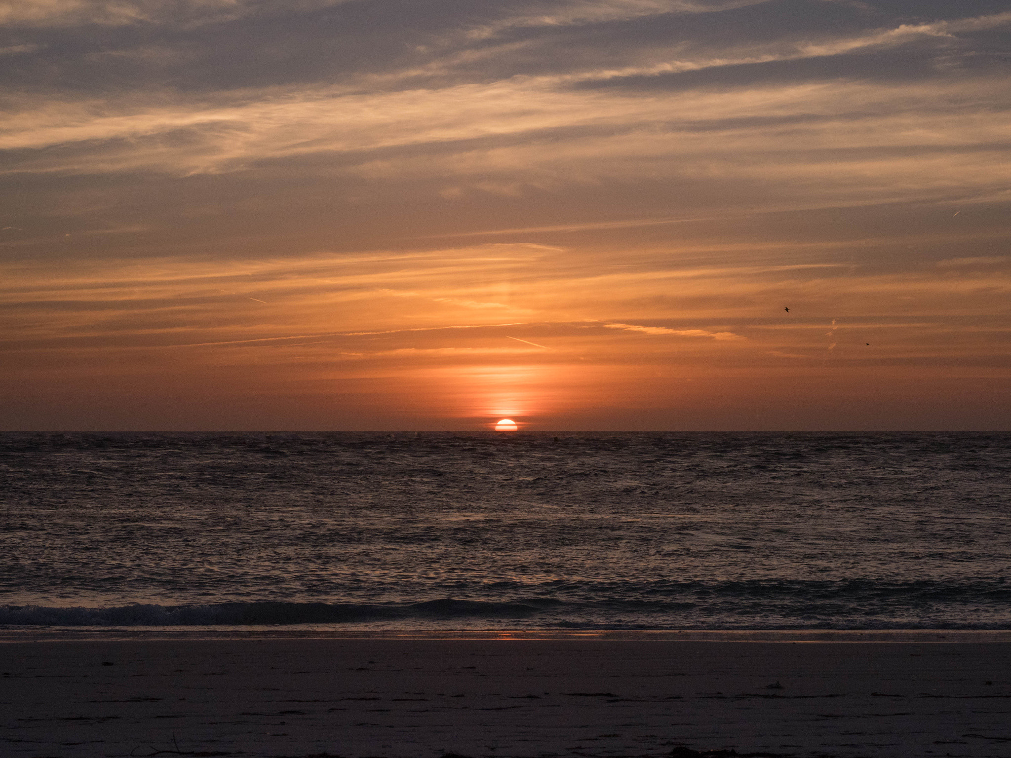 Olympus OM-D E-M1 Mark II + Olympus M.Zuiko Digital ED 12-40mm F2.8 Pro sample photo. Neptune sunset. photography