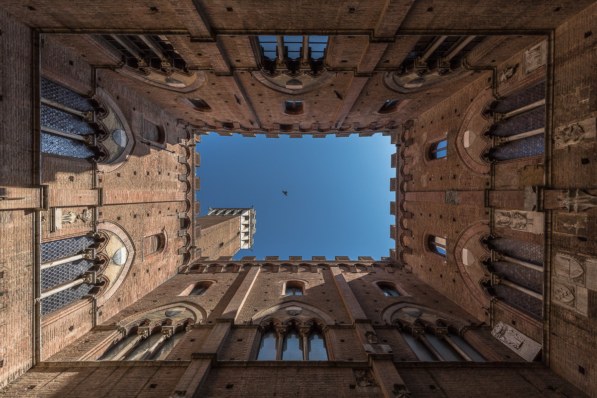 Canon EF 16-35mm F4L IS USM sample photo. Window of siena photography