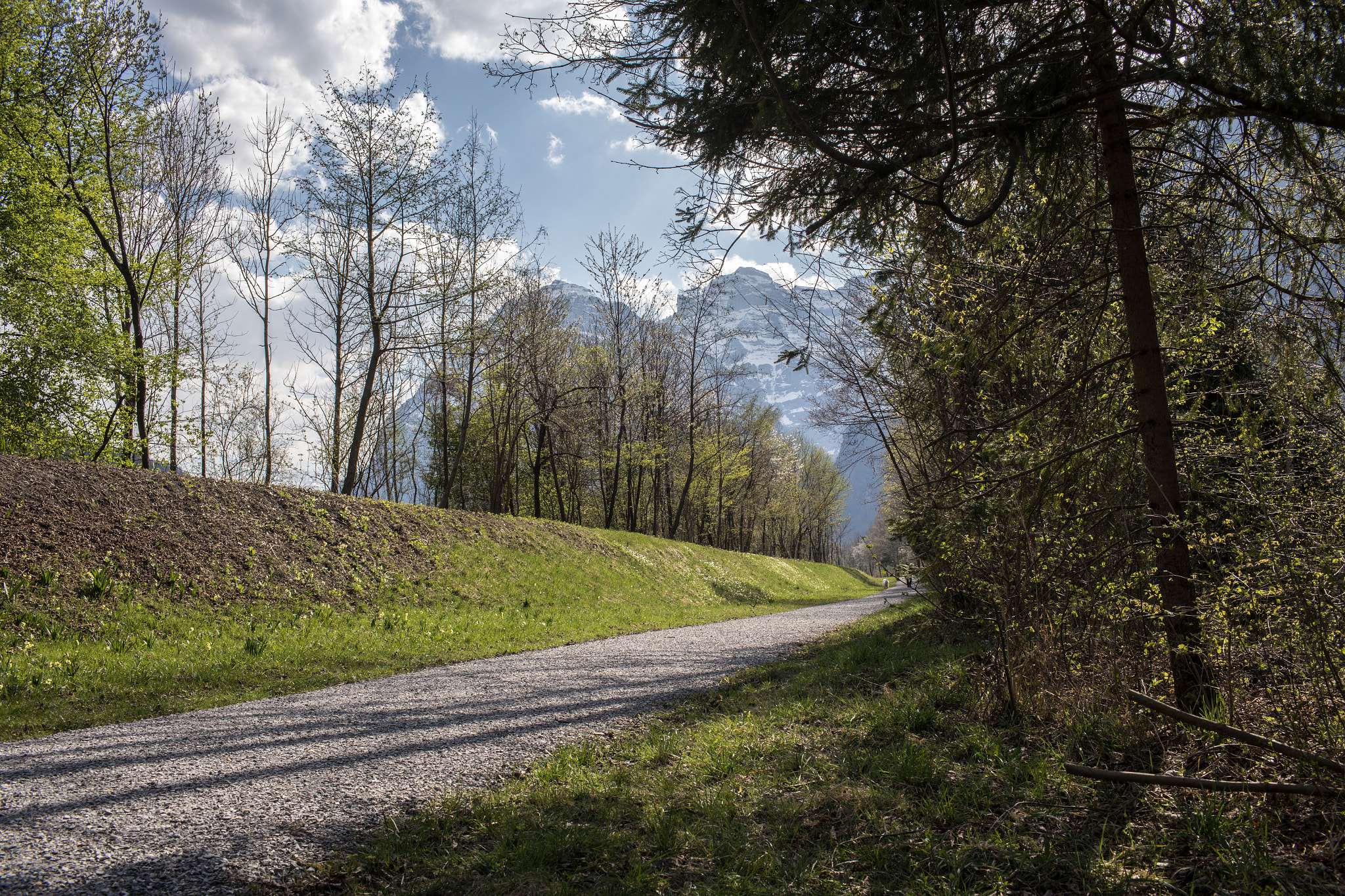 Canon EF 35mm F1.4L USM sample photo. Spring pathway photography