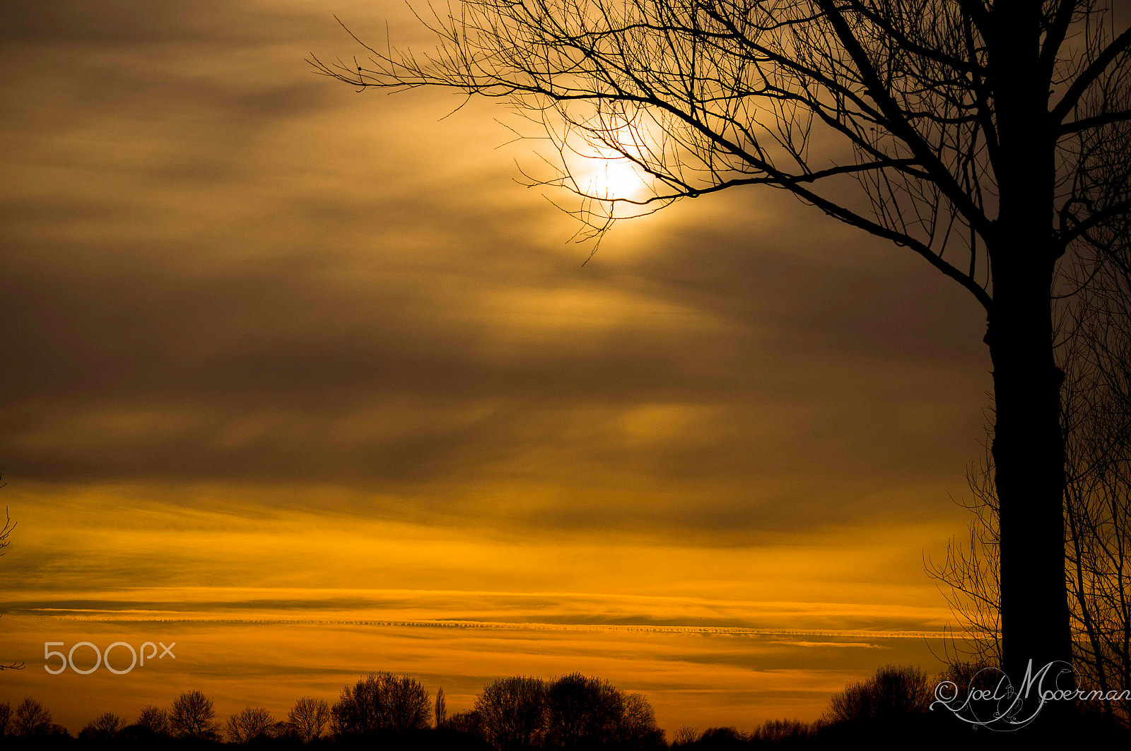 Sony SLT-A57 + Sigma 70-300mm F4-5.6 DL Macro sample photo. Sunset in the wild ! photography