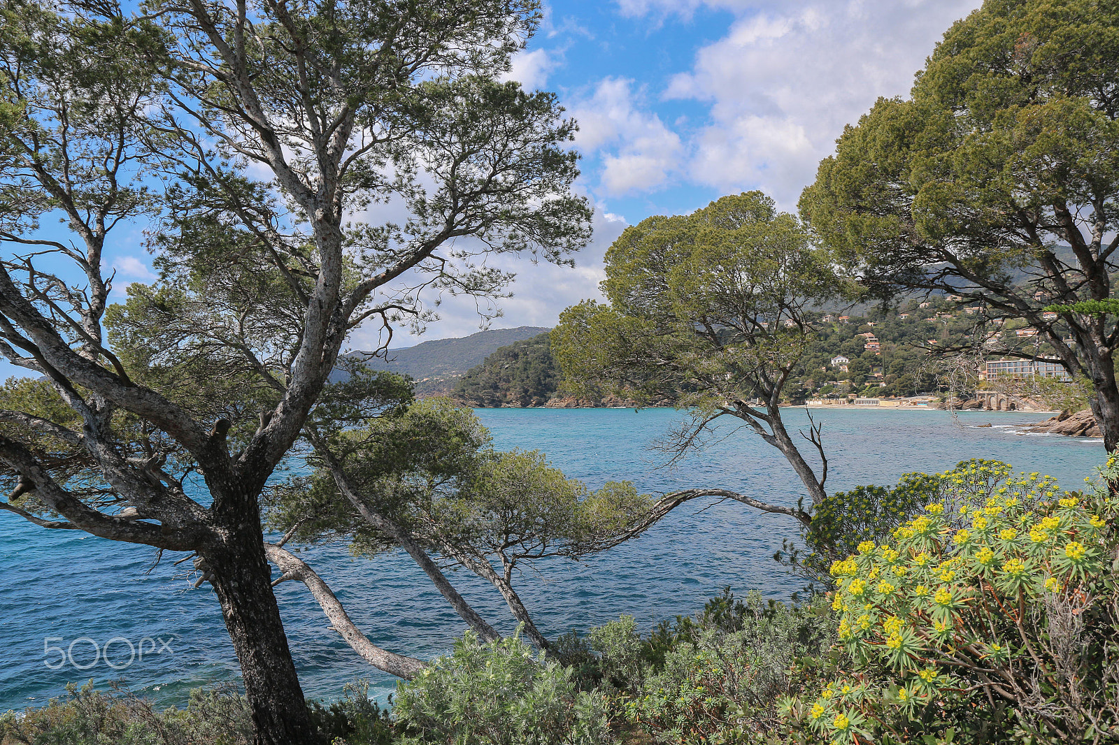 Canon EF-S 17-55mm F2.8 IS USM sample photo. Jardin du rayol photography