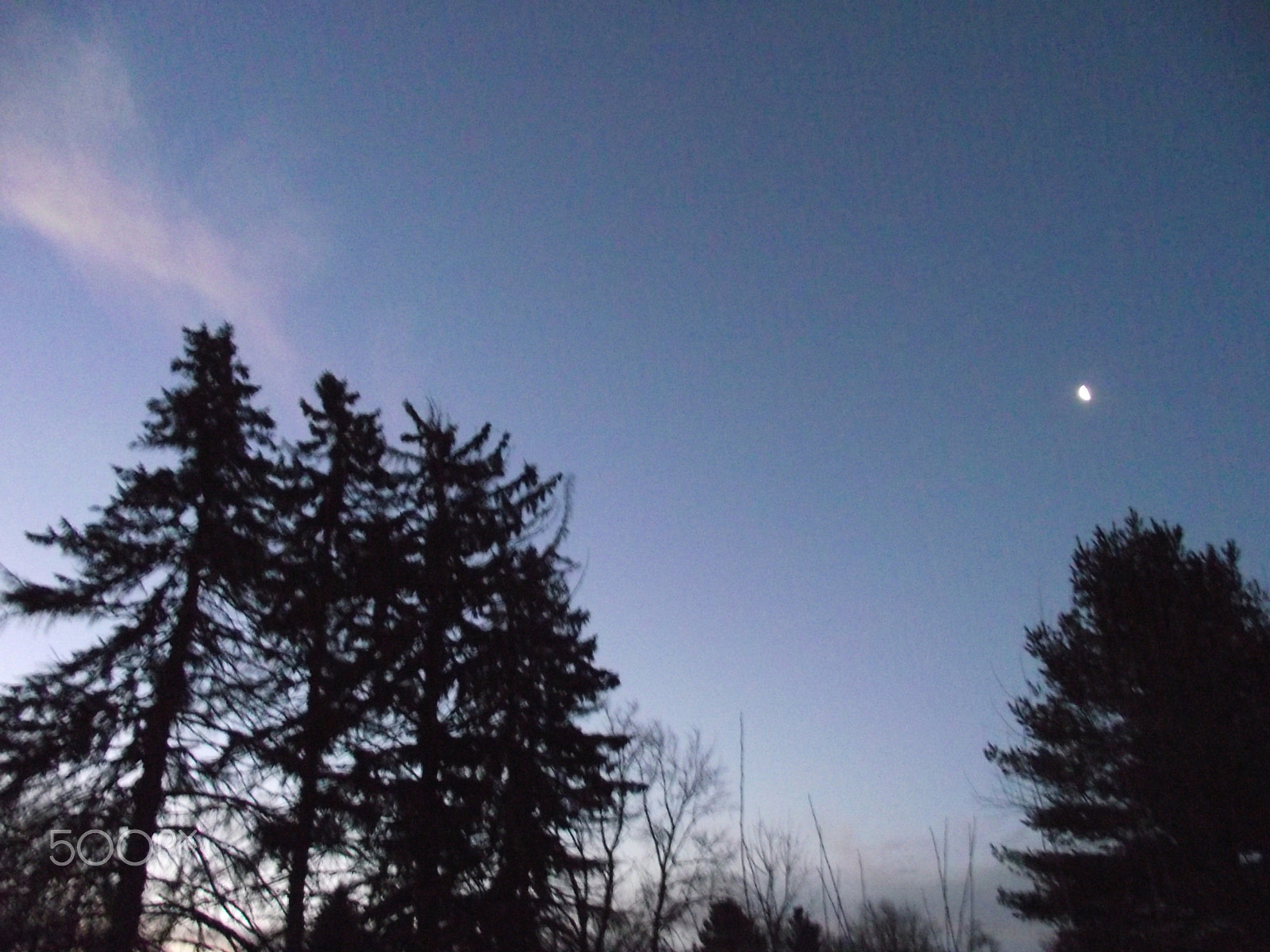 FujiFilm FinePix S1800 (FinePix S1880) sample photo. Morning sky with trees and moon. photography