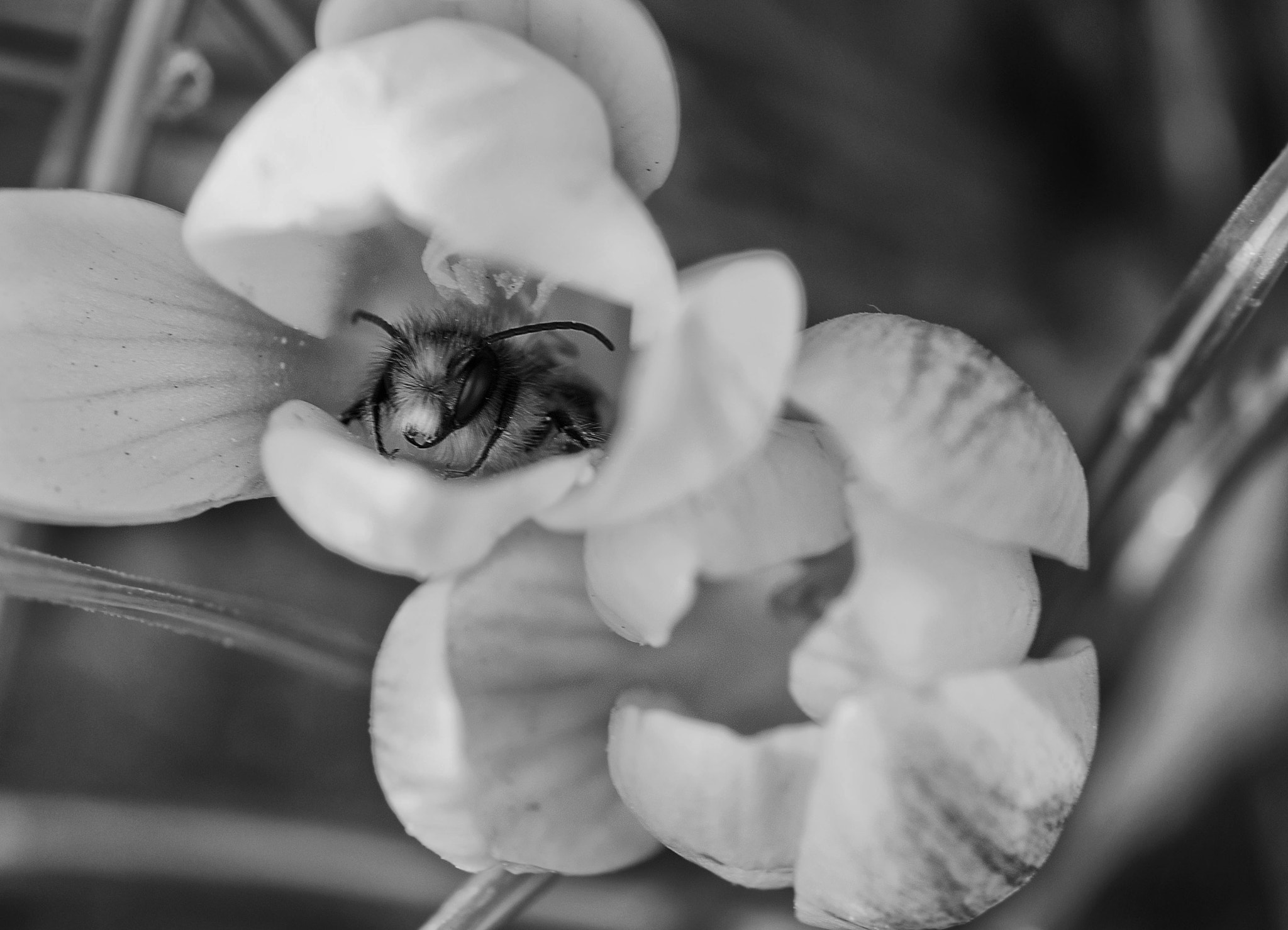 Nikon D3200 sample photo. Весенняя радость photography