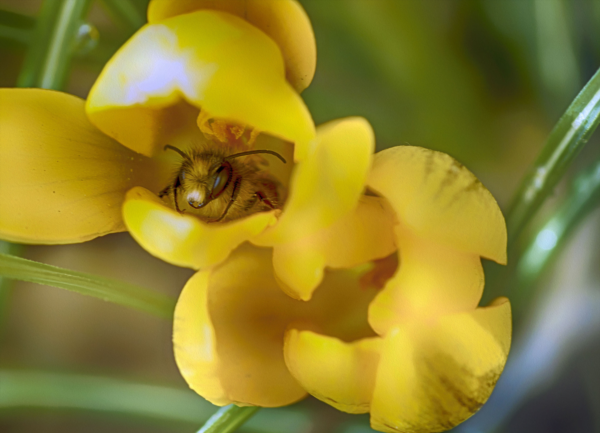 Nikon D3200 sample photo. Весенняя радость photography
