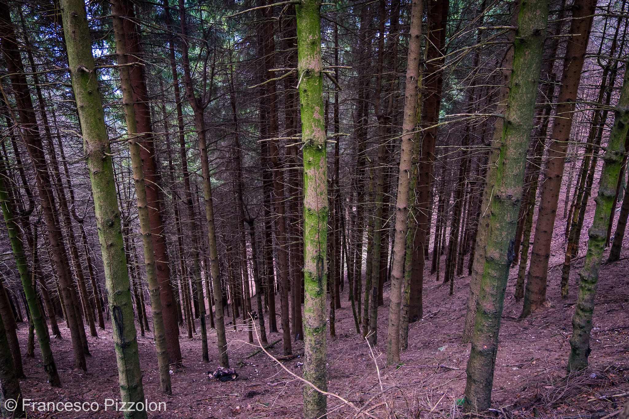 Fujifilm XC 16-50mm F3.5-5.6 OIS II sample photo. Pasubio photography